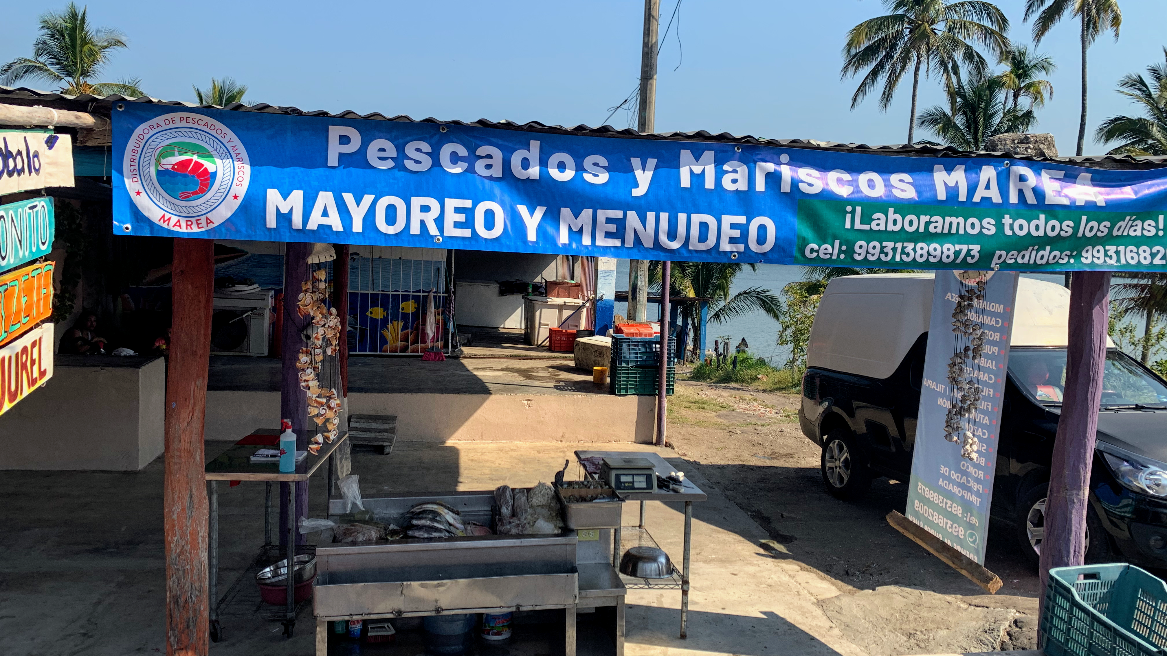 Pescados y Mariscos Marea image 1