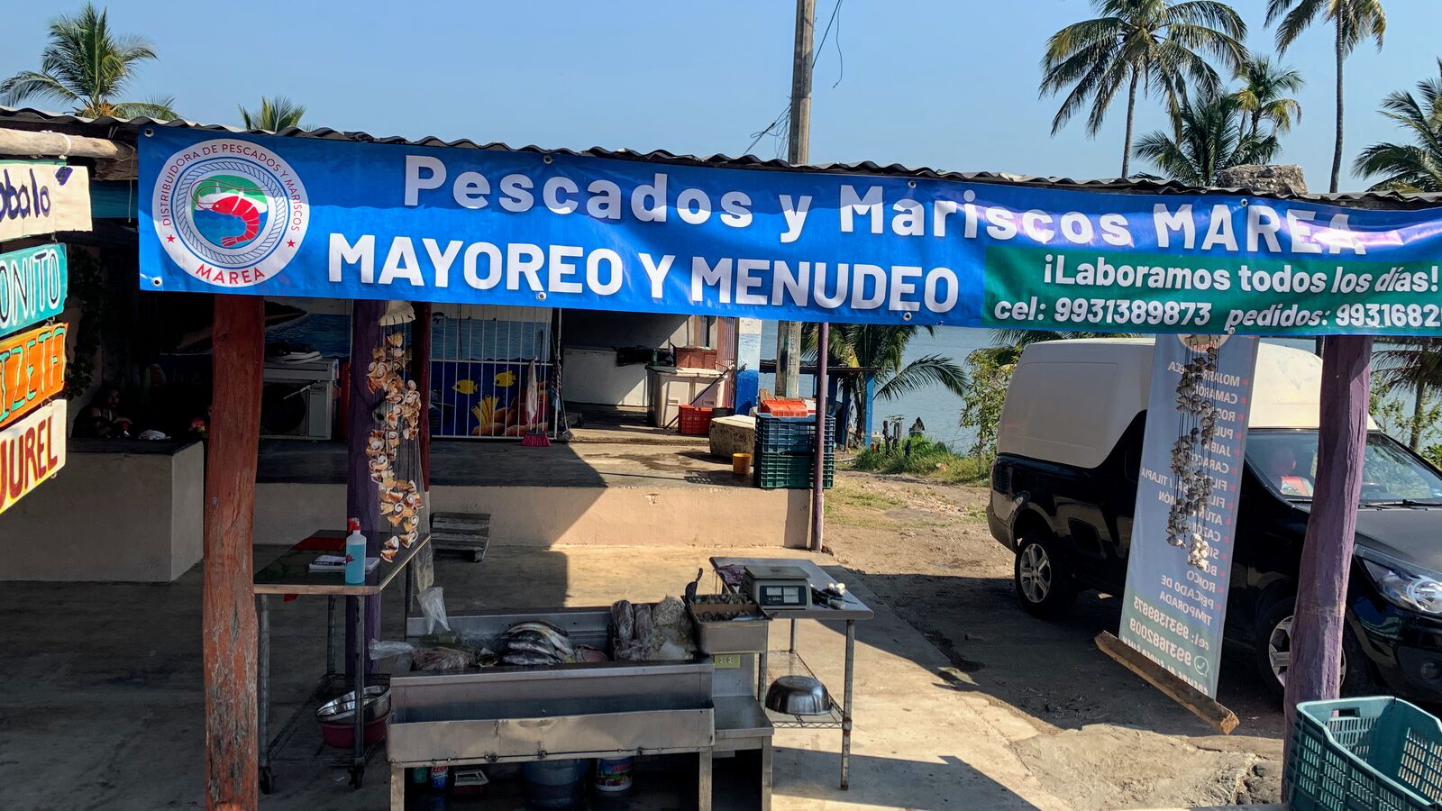 Pescados y Mariscos Marea image 1