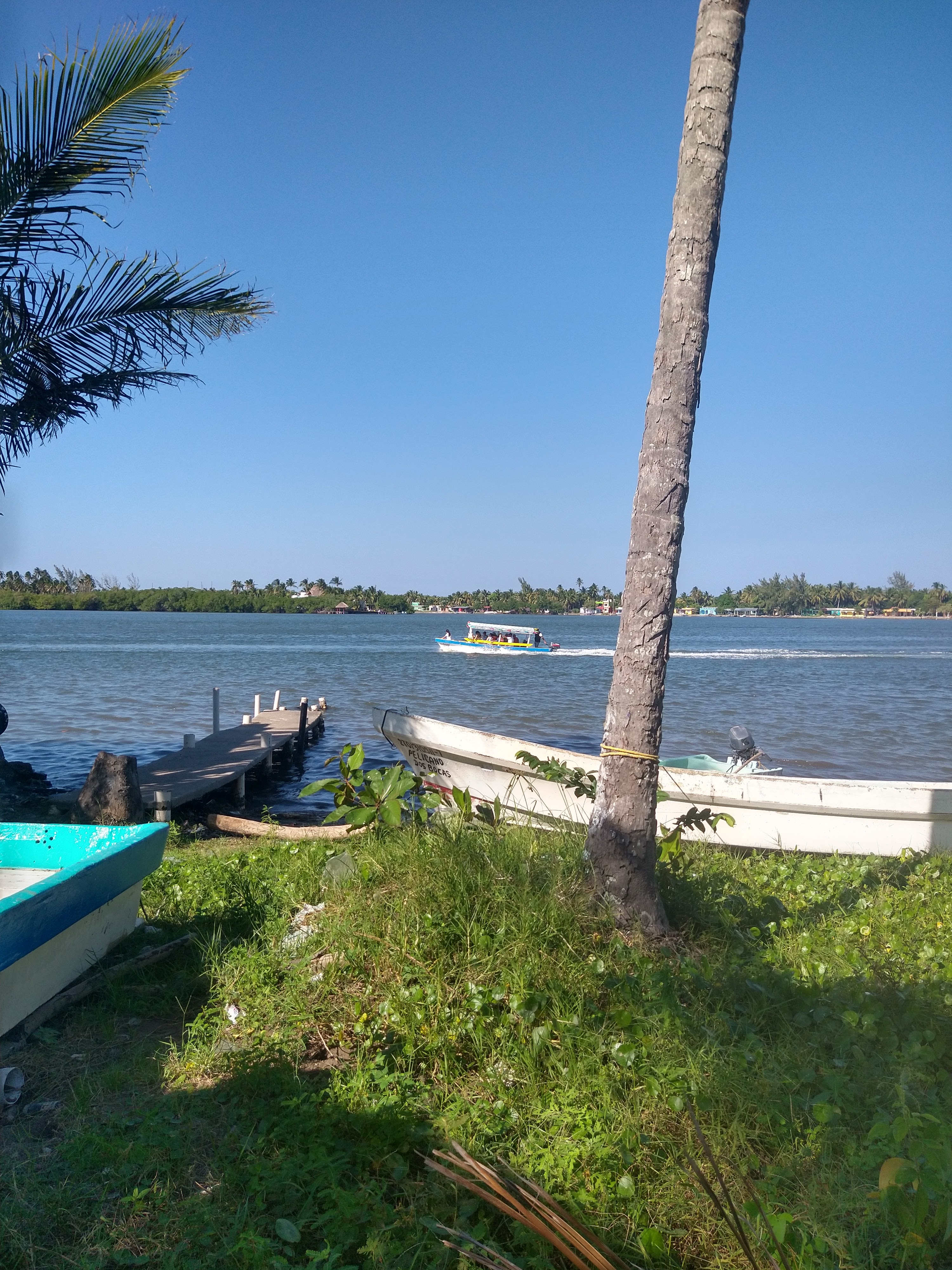 Pescados y Mariscos Marea image 3
