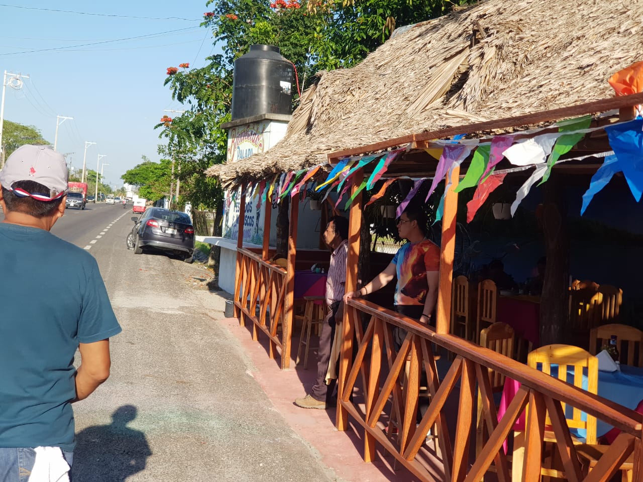 Palapa las Ranitas image 1