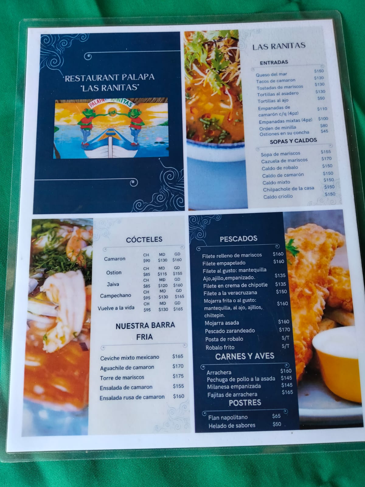 Palapa las Ranitas image 4