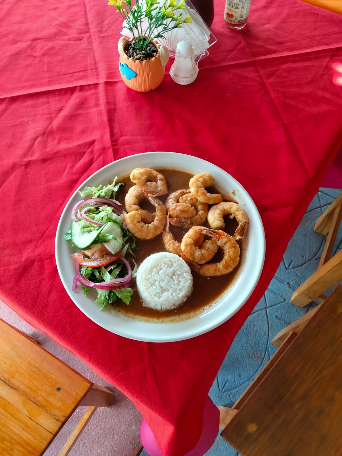 Palapa las Ranitas image 7