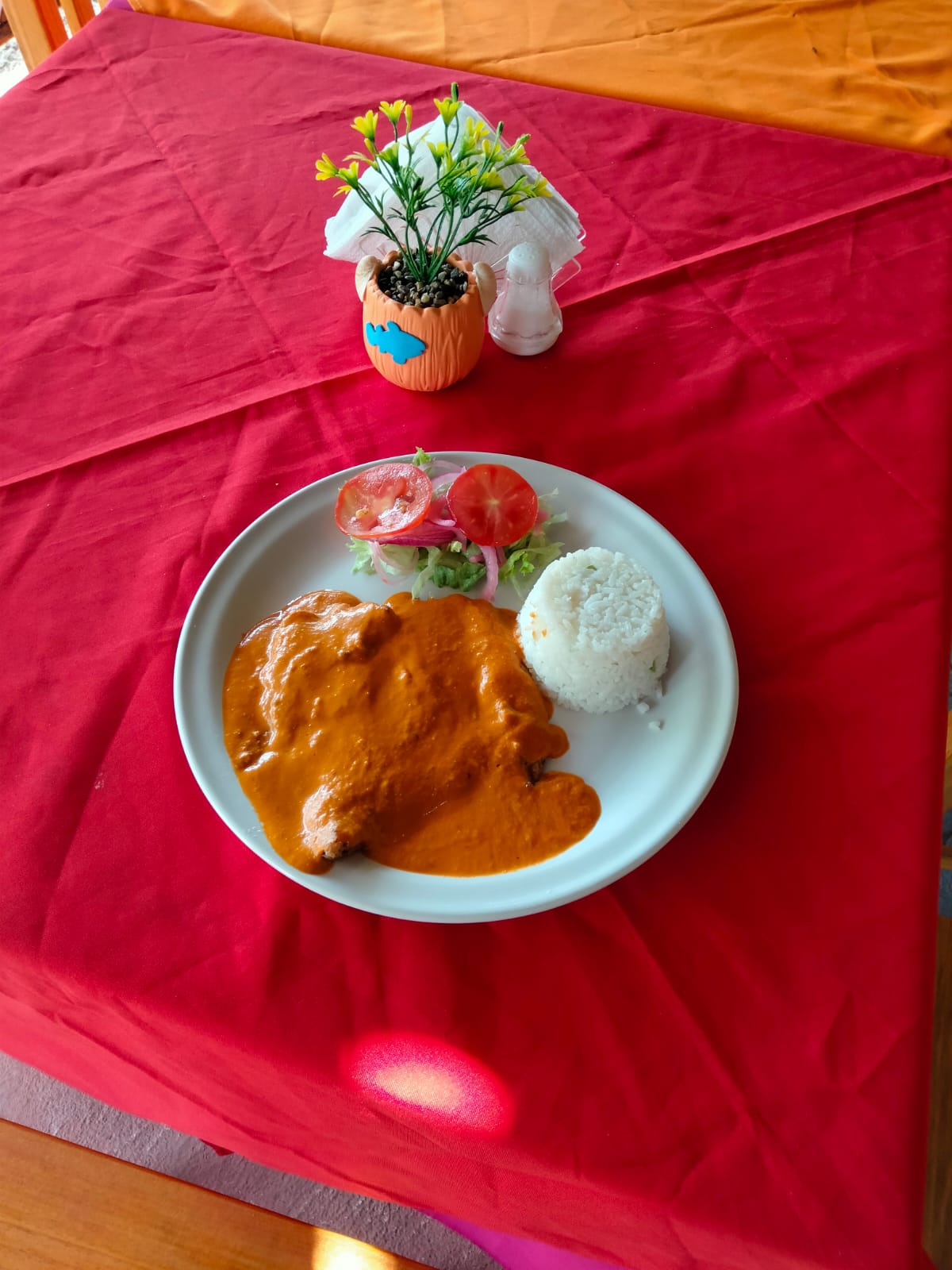 Palapa las Ranitas image 9