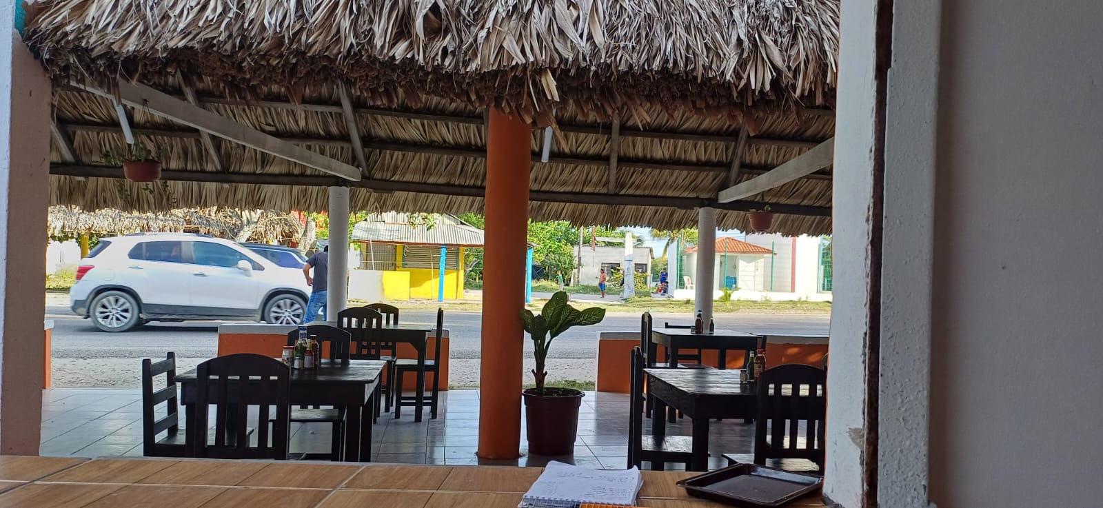 Las Delicas Del Mar image 1