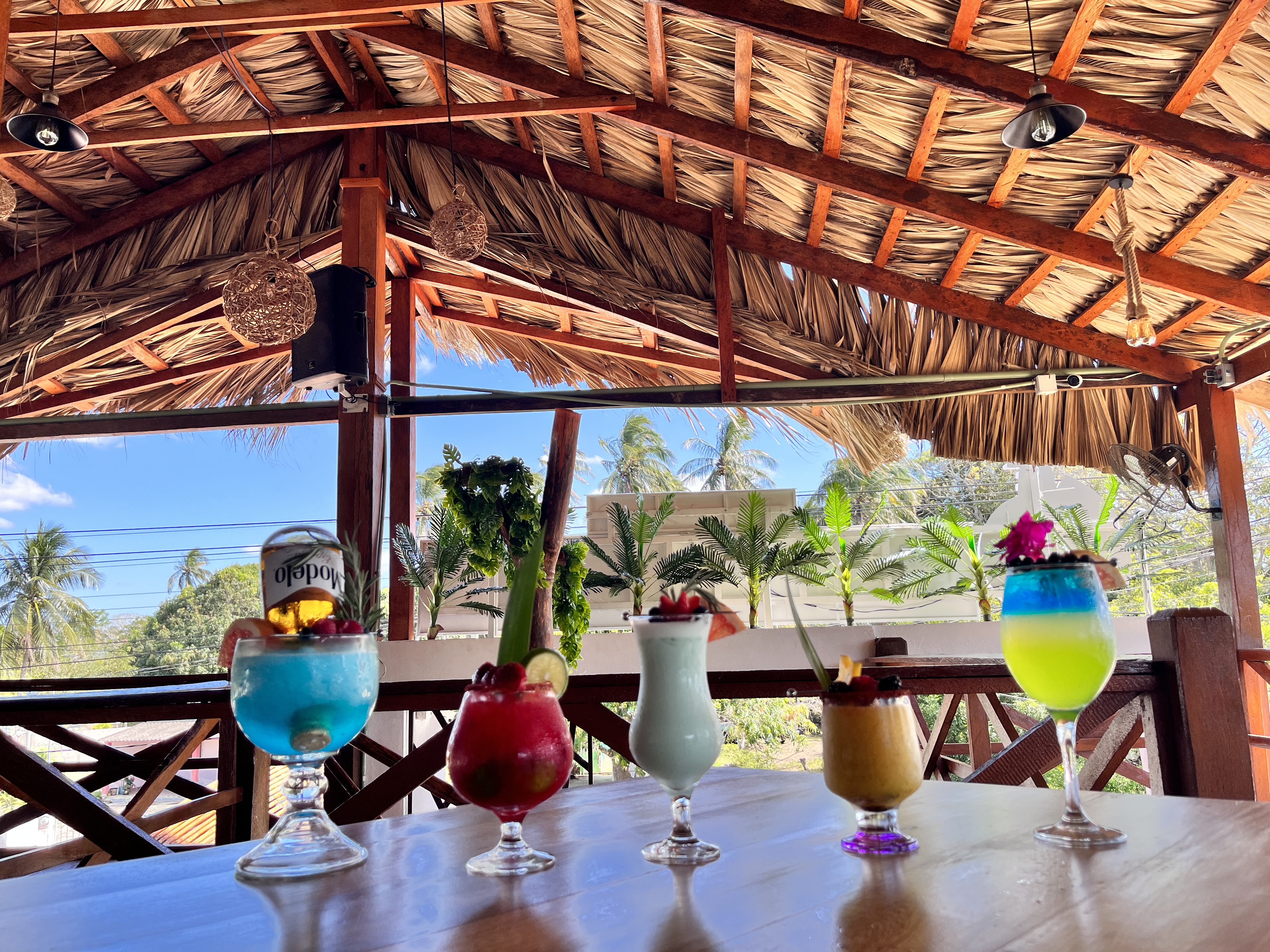 EL PASEO DEL CENTENARIO image 1