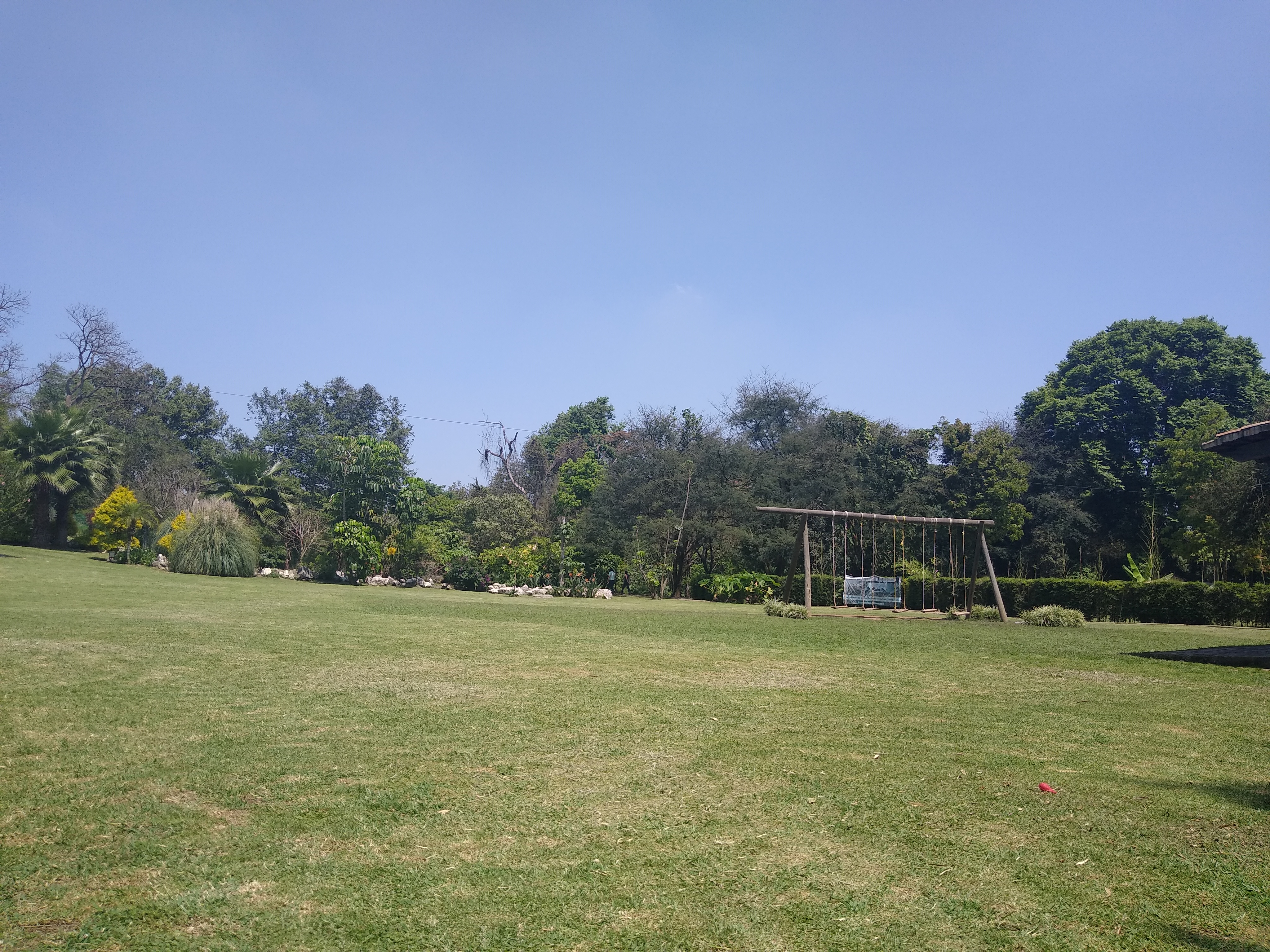 Pizzeria Roma image 3