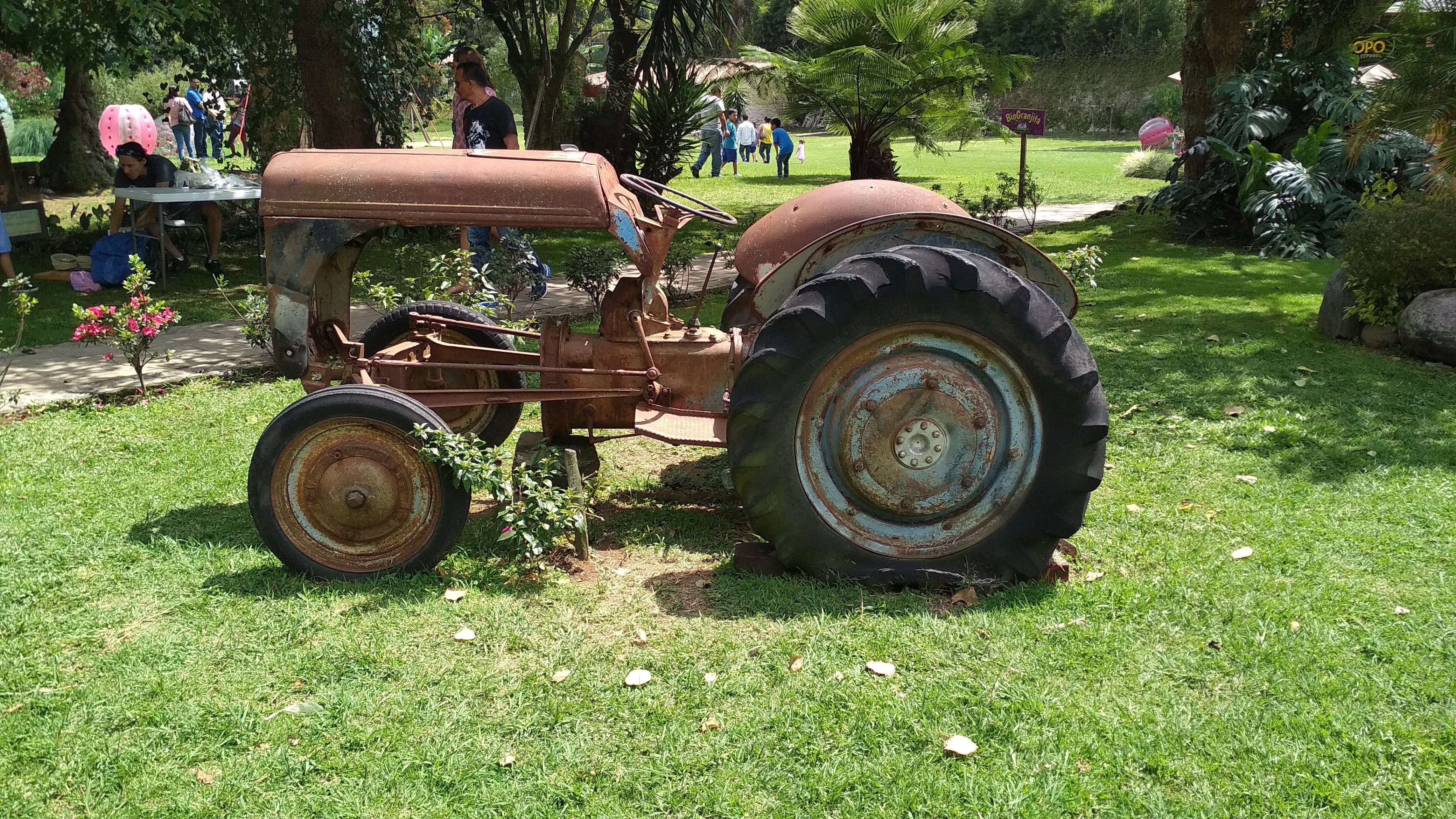 Pizzeria Roma image 8