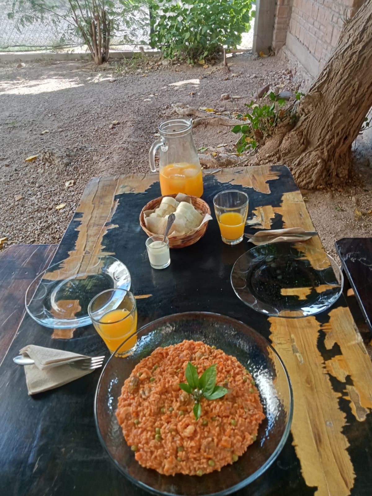 Torino Ristorante image 10