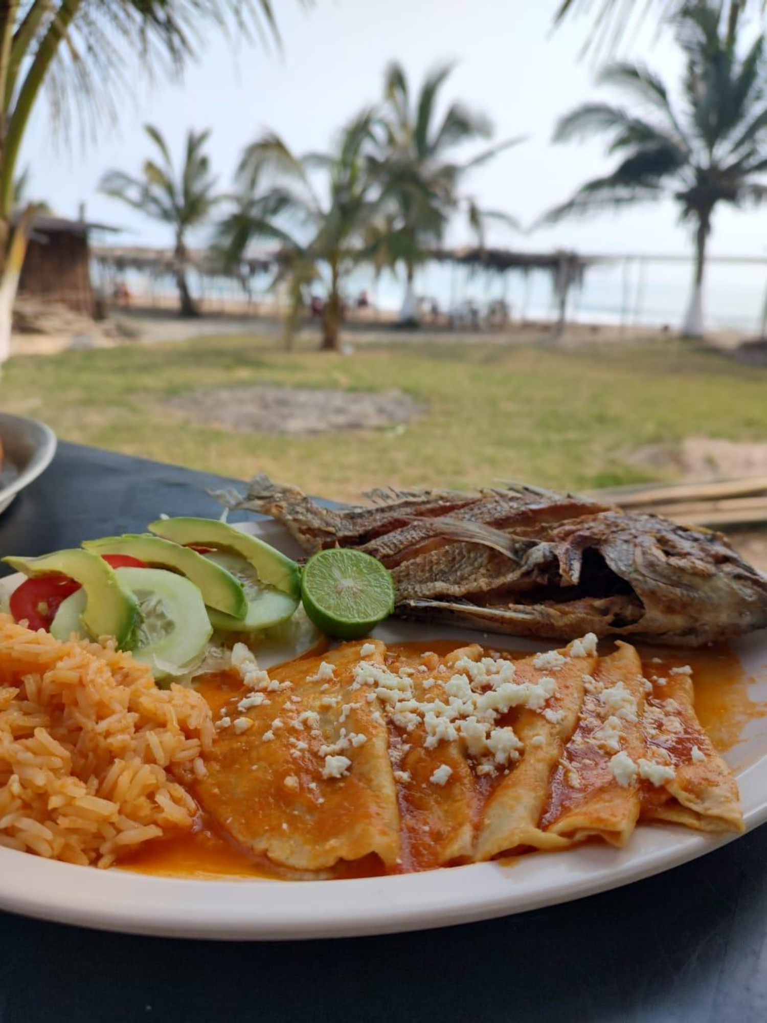 La Cabañita image 1