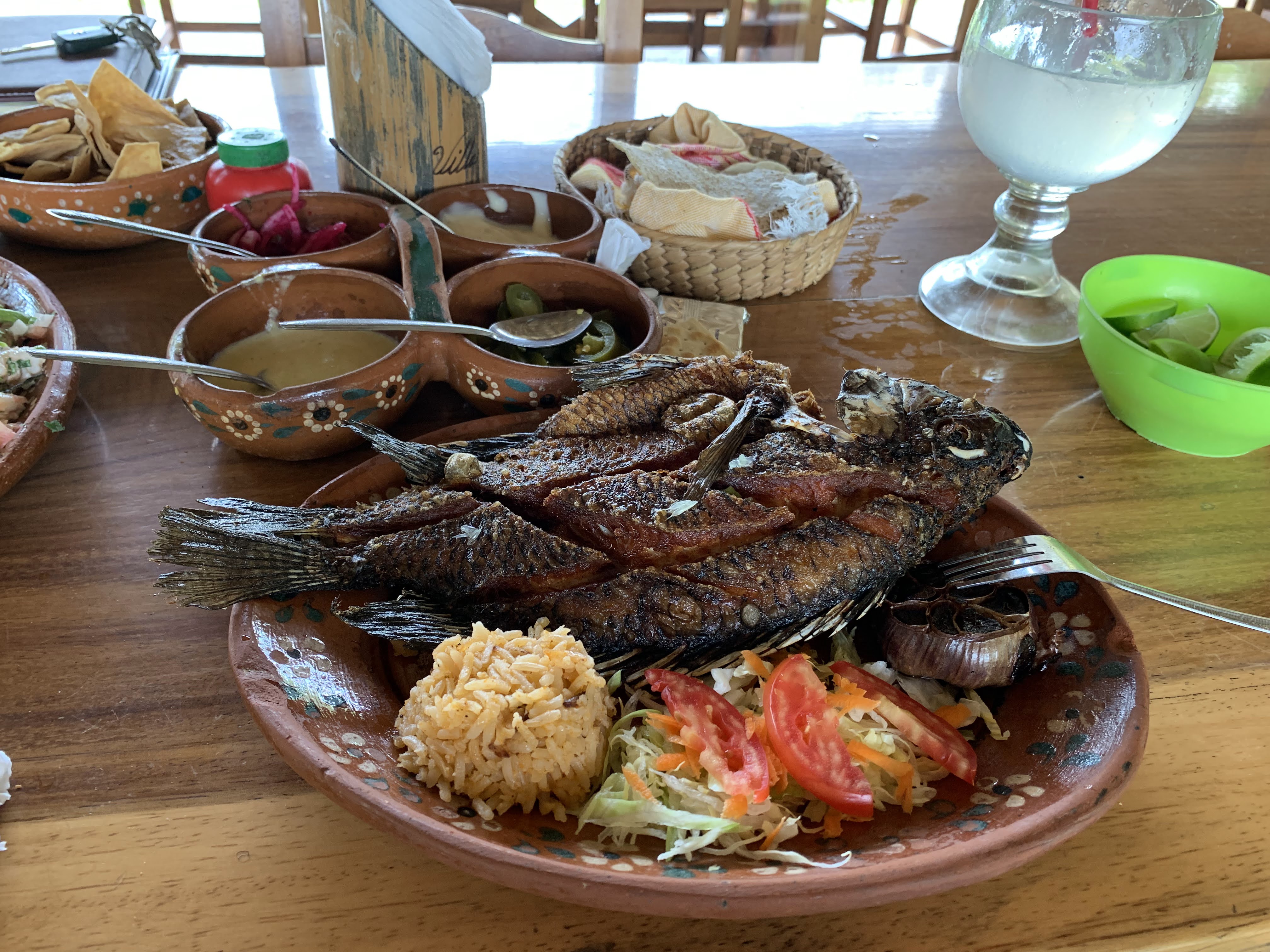 Balneario las tecas image 5