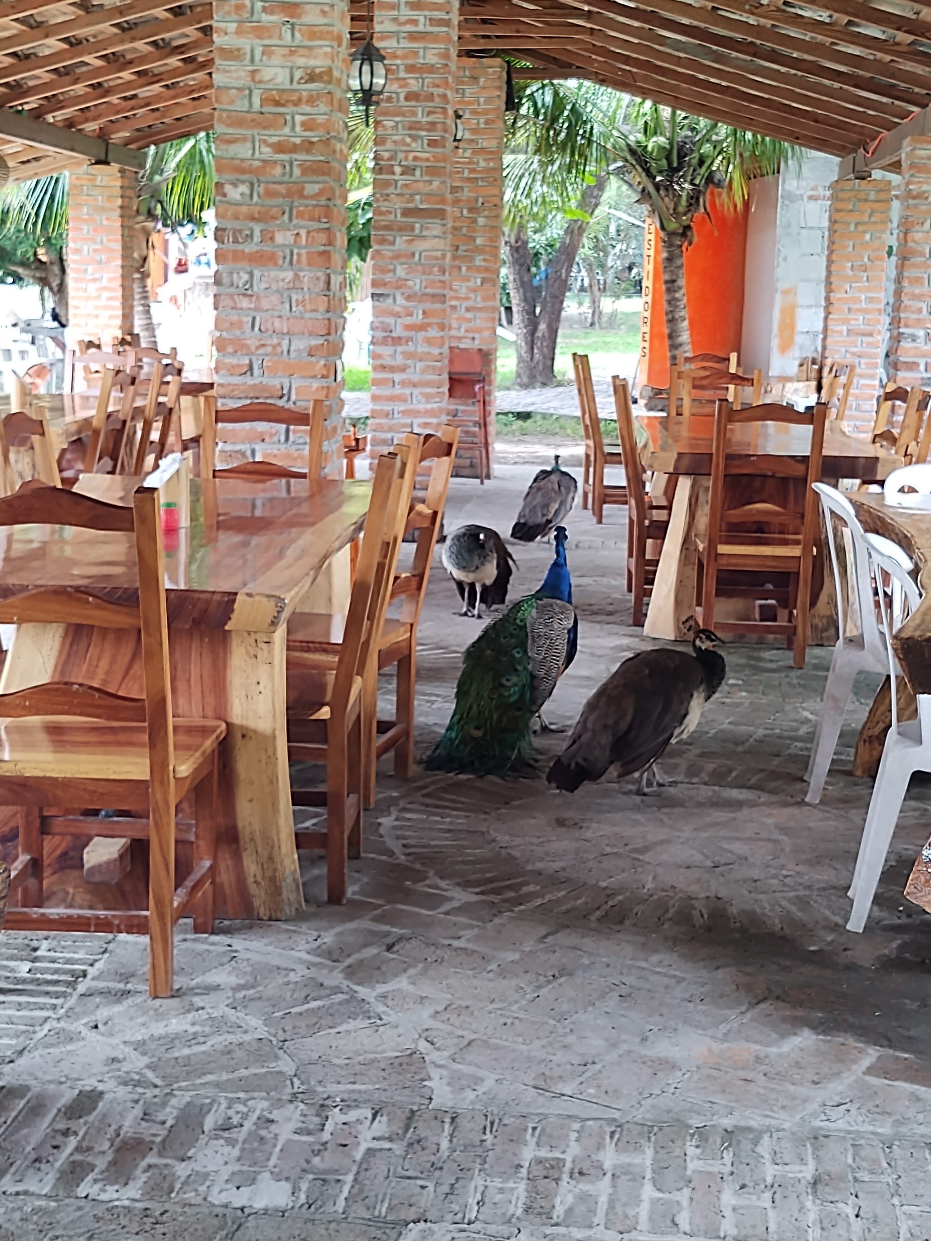 Balneario las tecas image 6