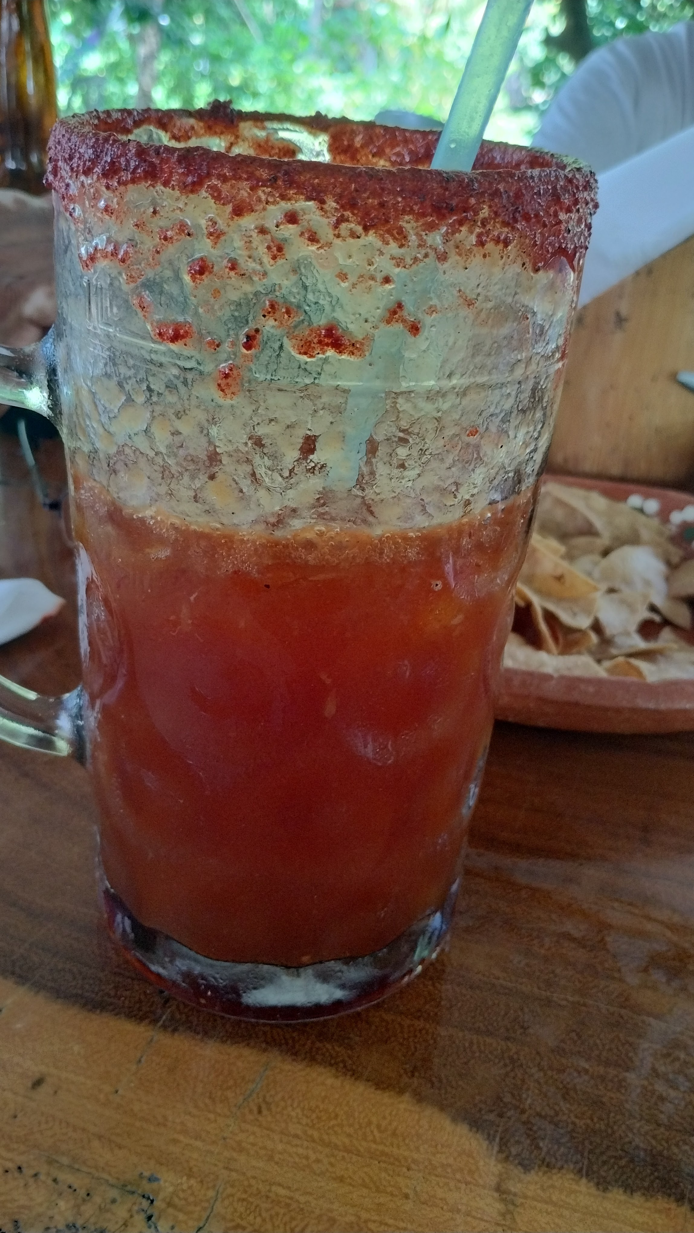 Balneario las tecas image 8