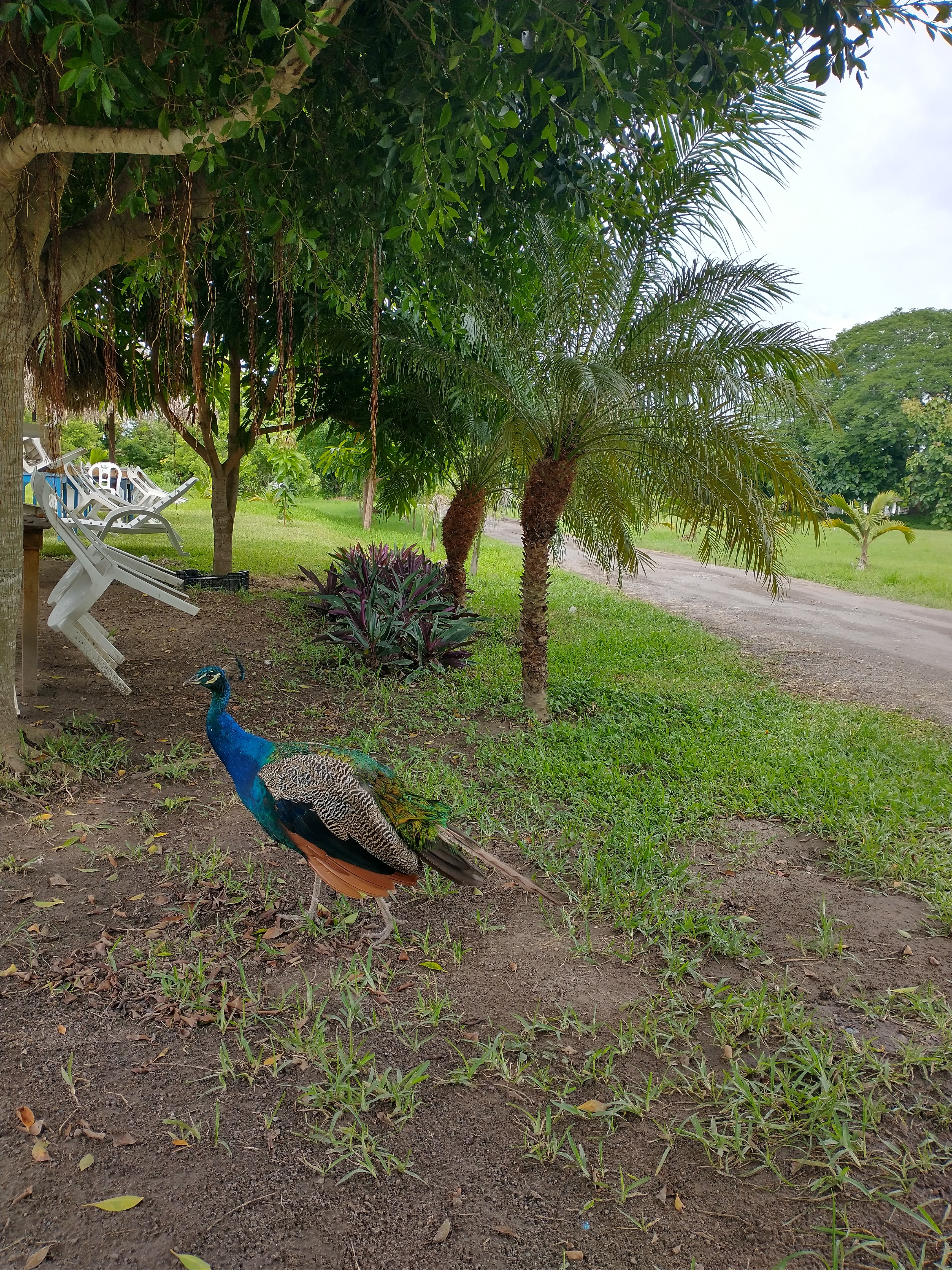 Balneario las tecas image 10