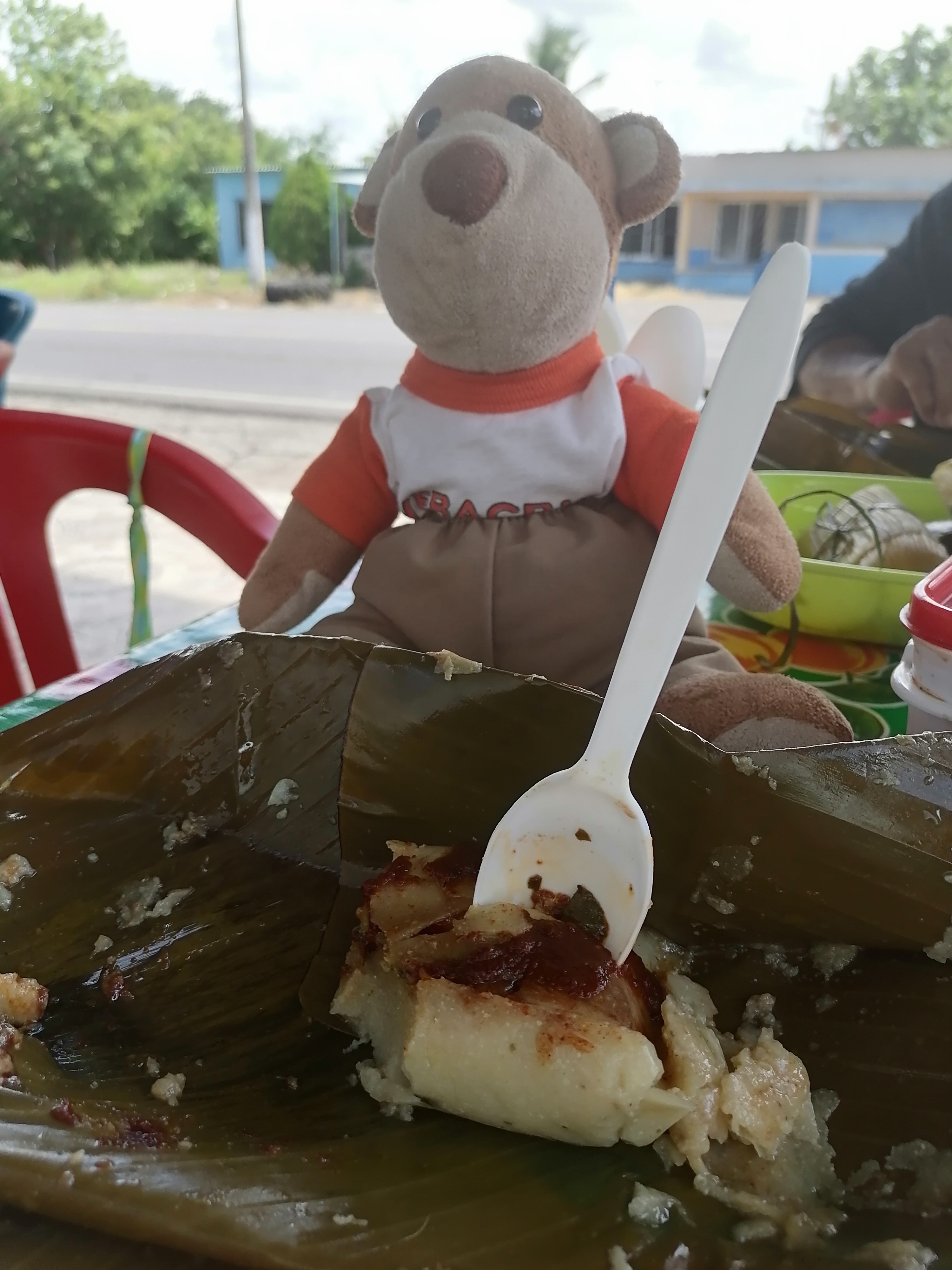 𝗧𝗮𝗺𝗮𝗹𝗲𝘀 𝗗𝗼𝗻̃𝗮 𝗝𝘂𝗮𝗻𝗶𝘁𝗮 𝗗𝗲 𝗢𝗮𝘅𝗮𝗾𝘂𝗶𝗹𝗹𝗮 image 9