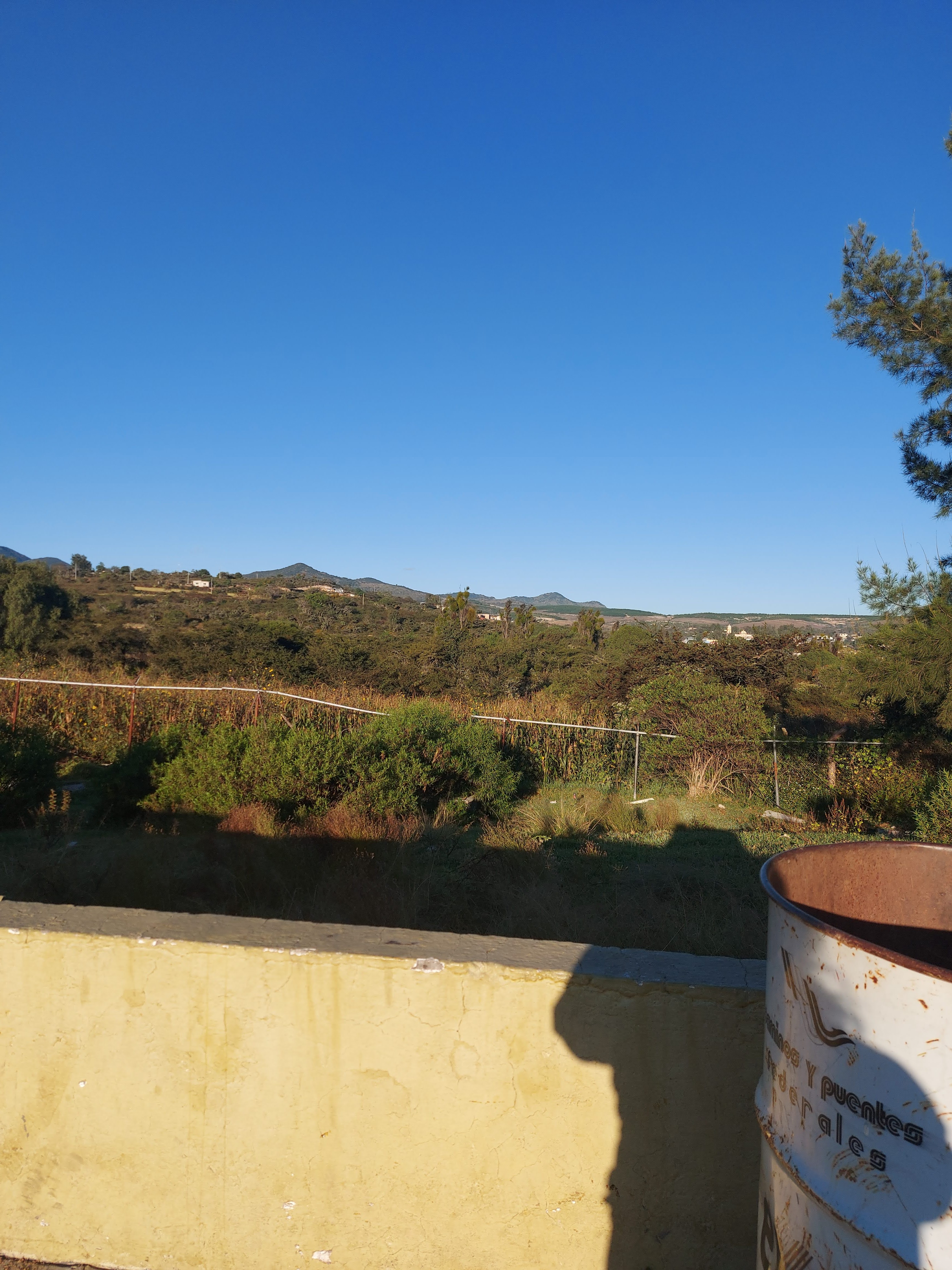 TACOS DE GUISADO DON VALE image 6