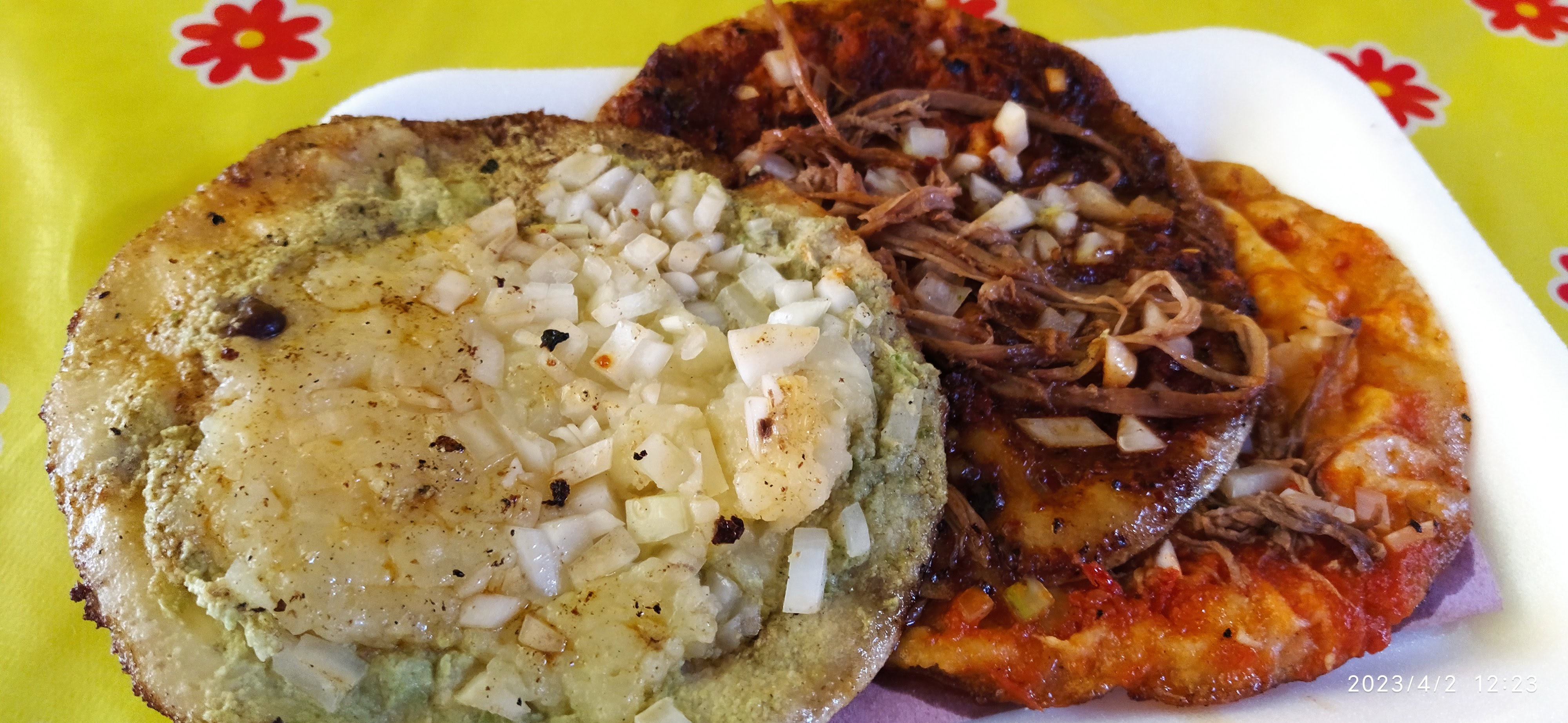 Garnachas Palafox image 3