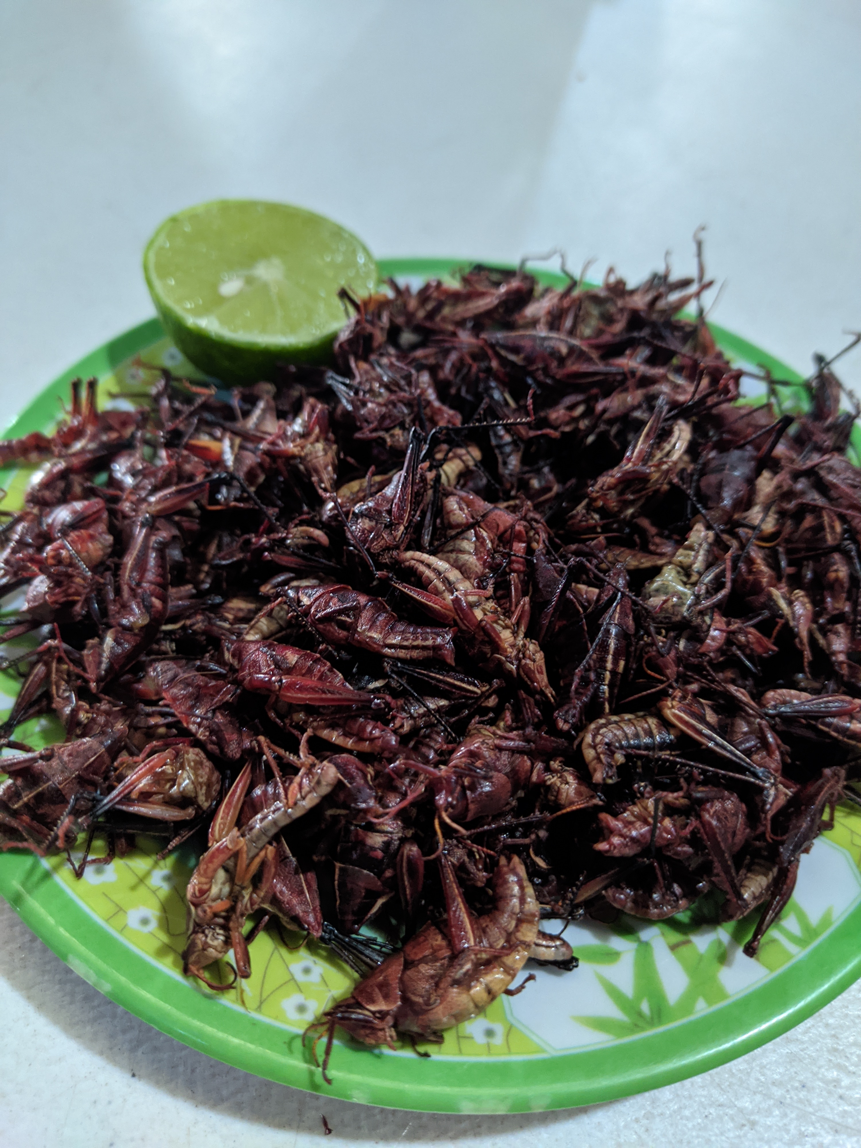 Portal Mixteco image 4