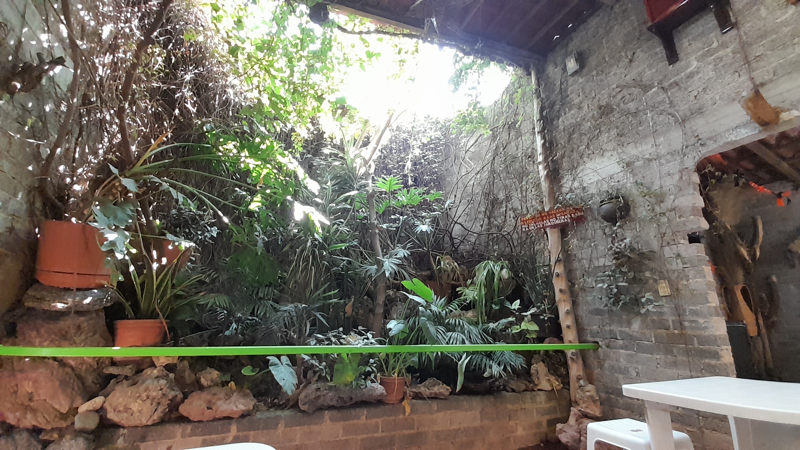 Portal Mixteco image 6