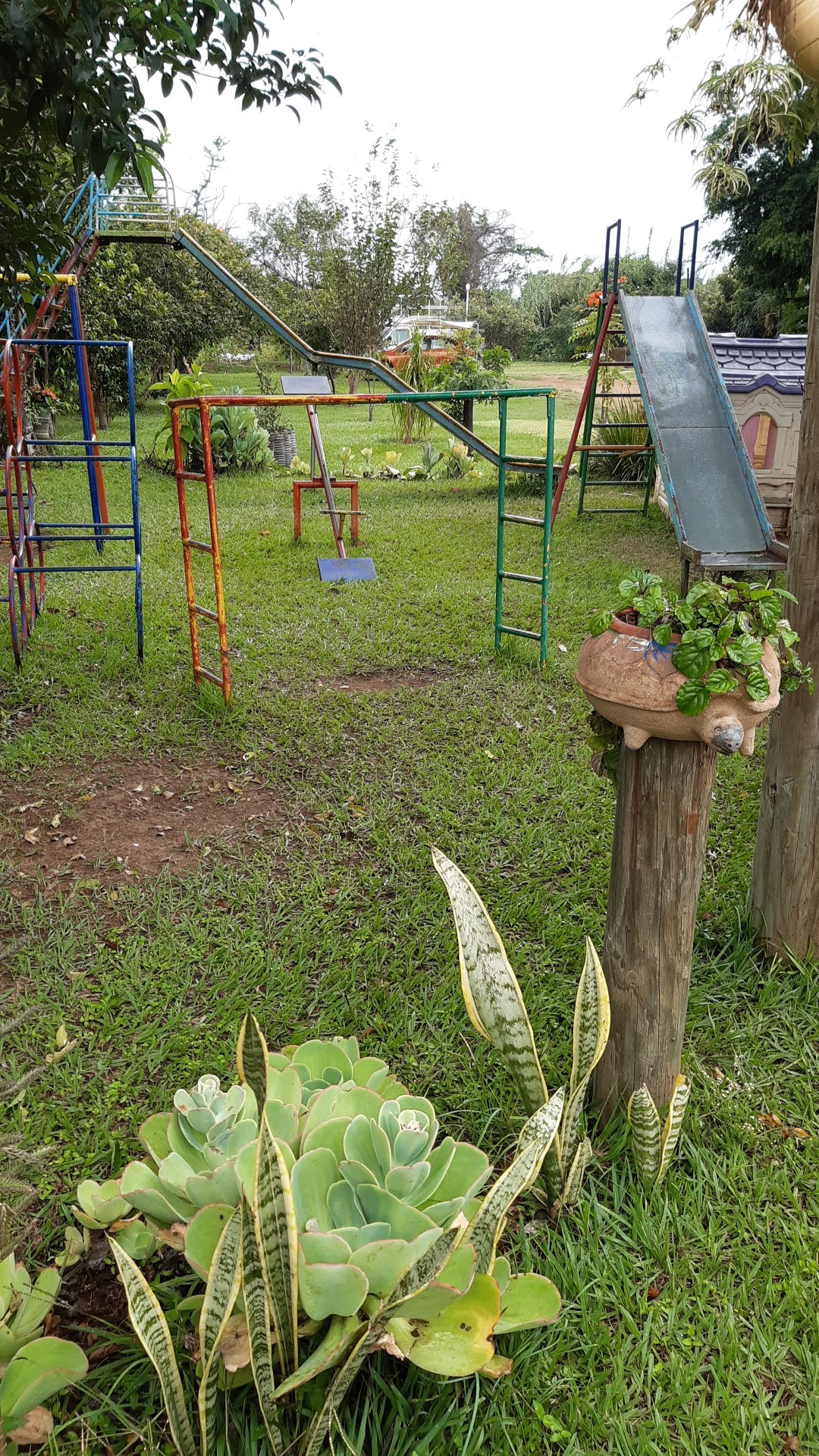 MARISQUERÍA LOS ANZUELITOS image 8