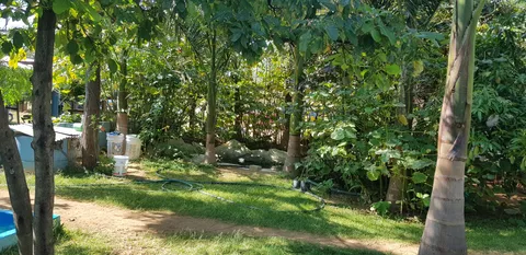 Marisquería “La Escondida” image 3
