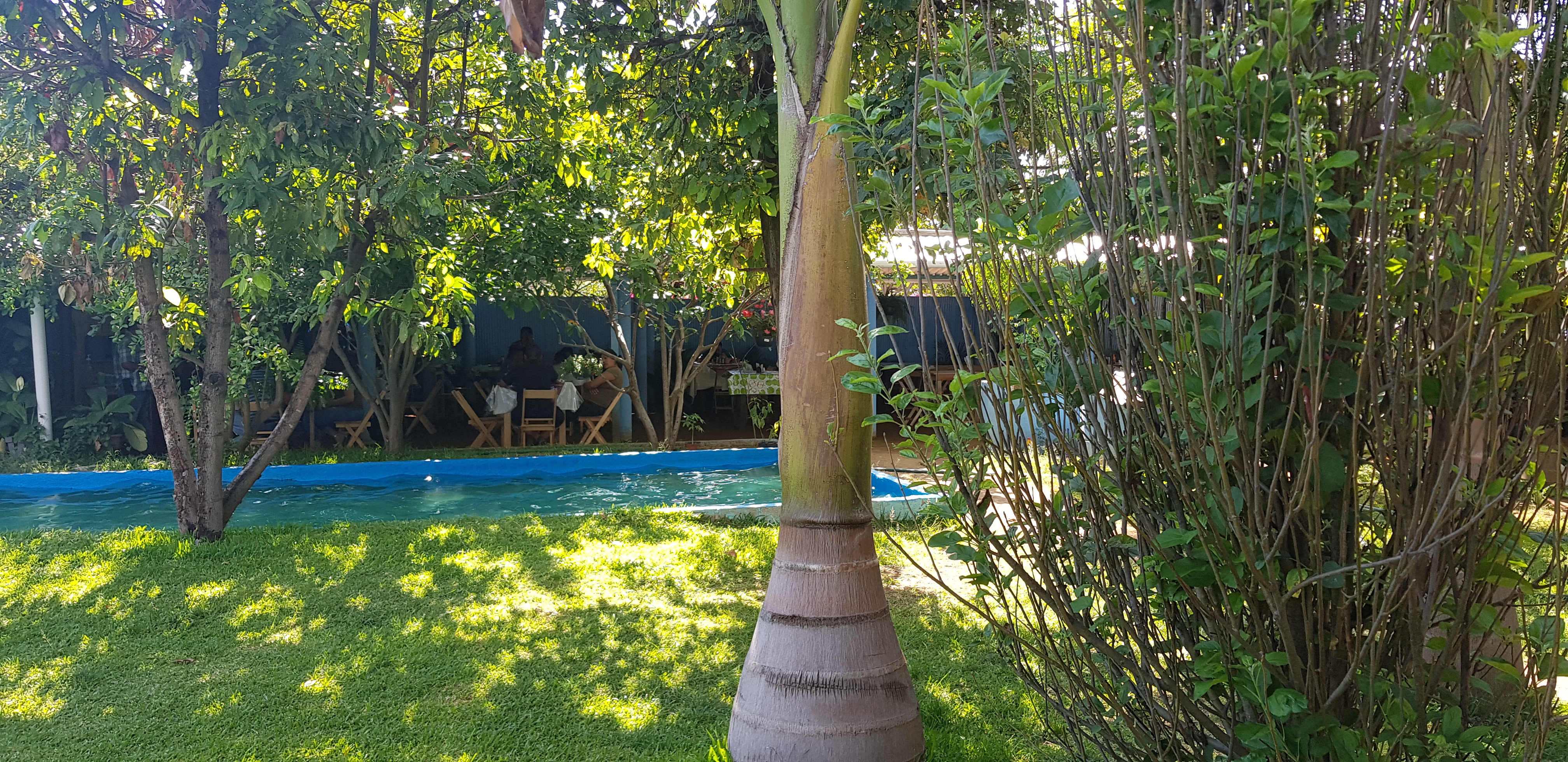 Marisquería “La Escondida” image 5
