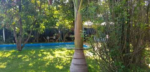 Marisquería “La Escondida” image 5