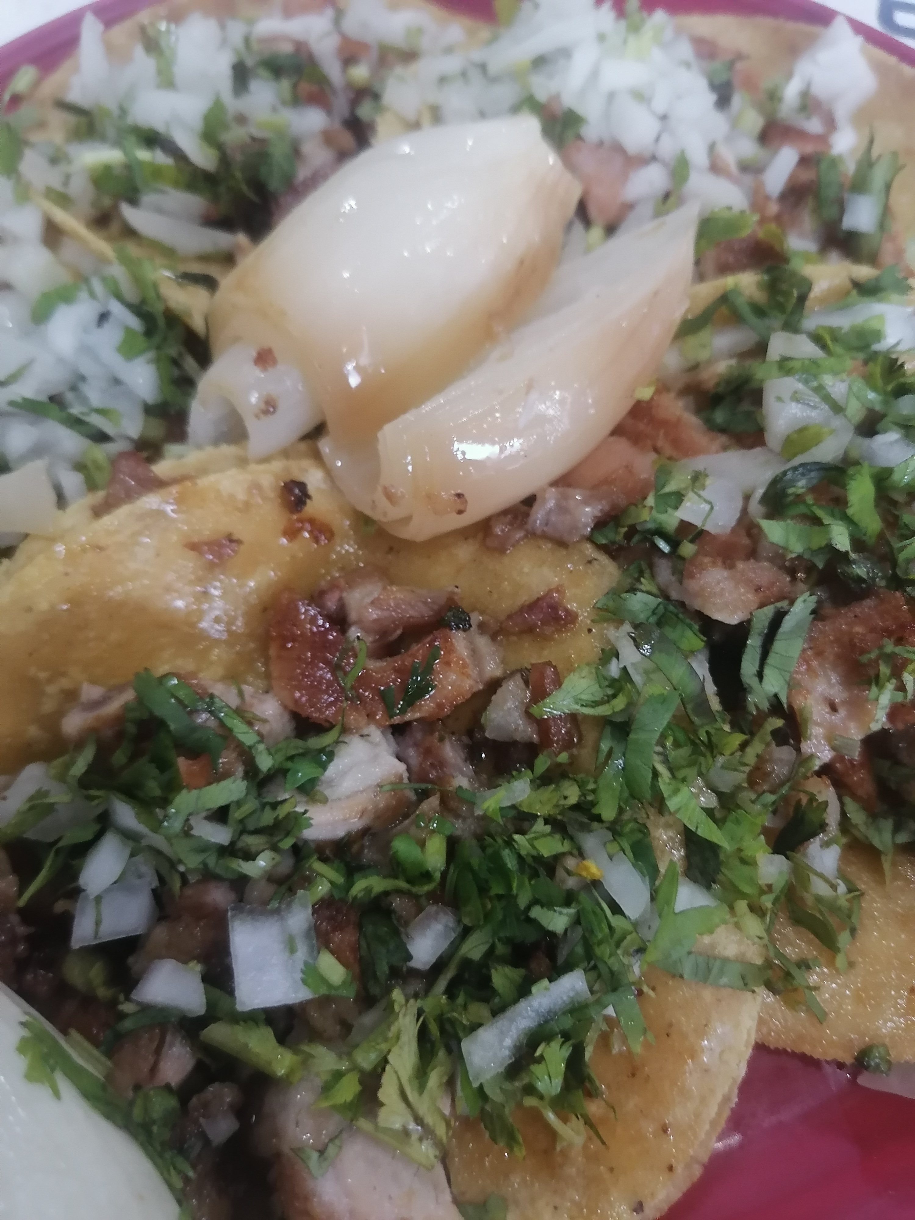 Taquería "EL FOGONCITO" image 7