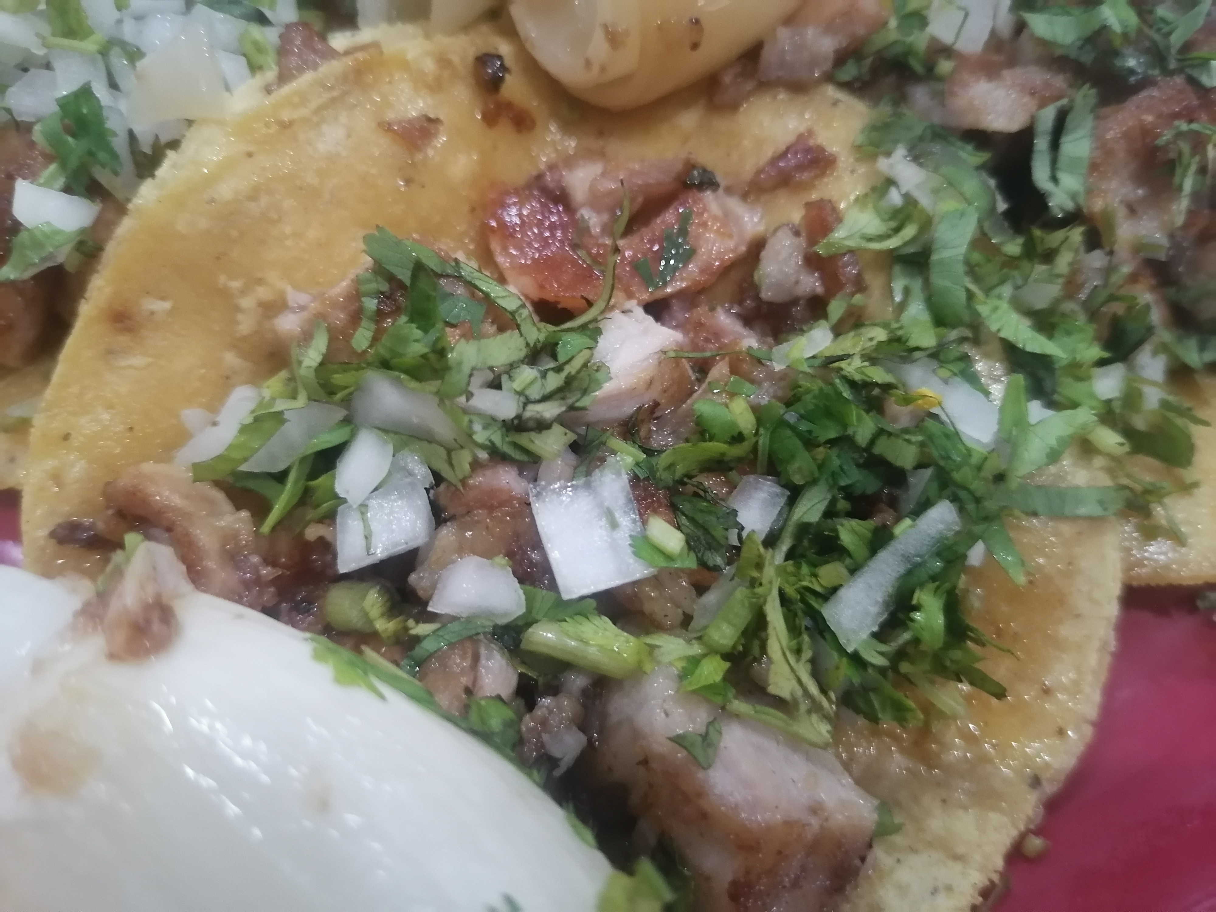 Taquería "EL FOGONCITO" image 9