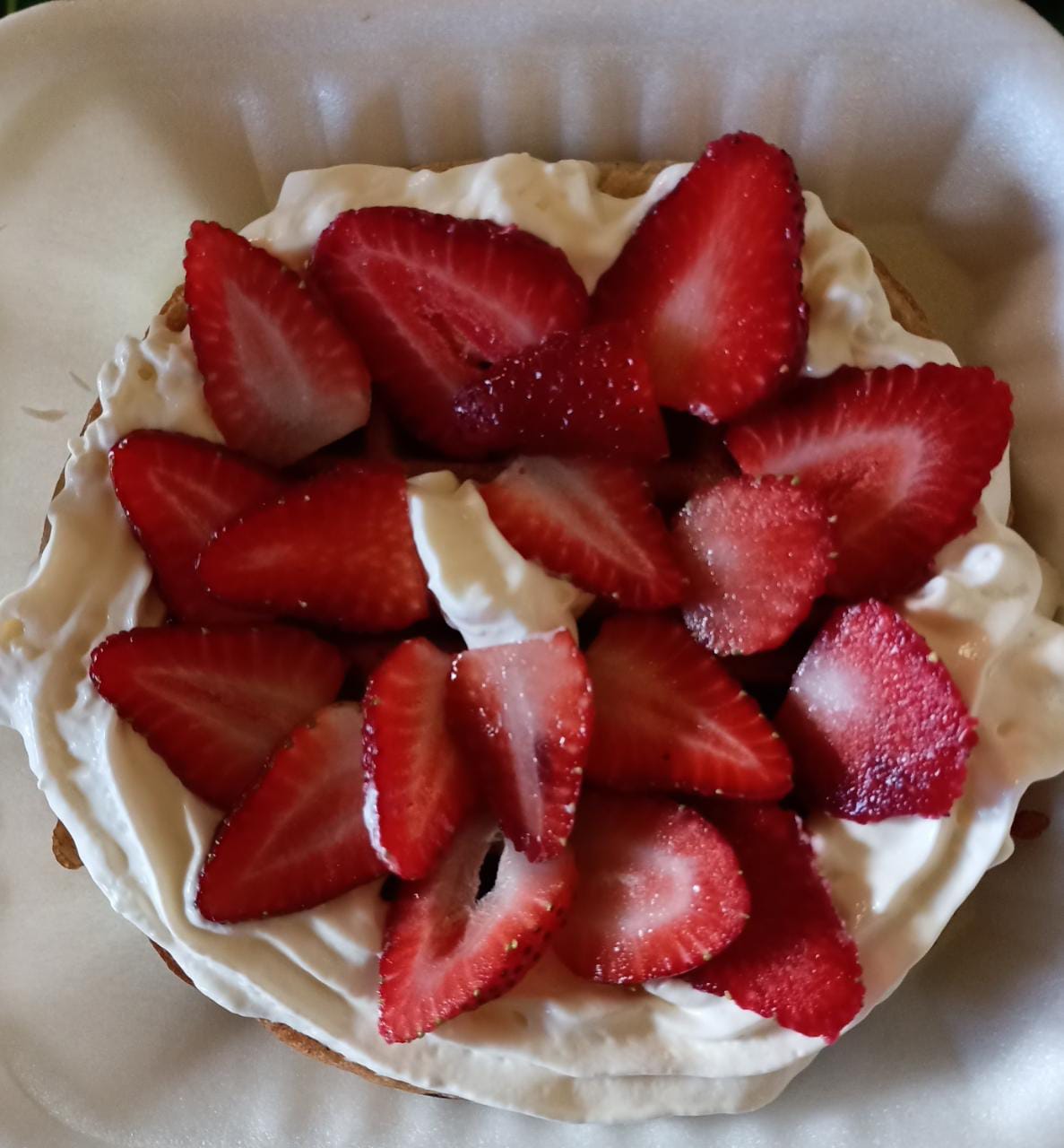 Loncheria los girasoles image 6