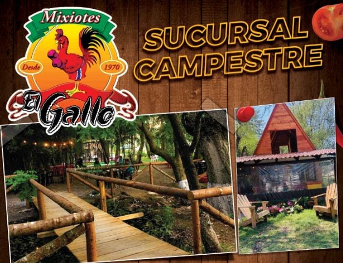 Mixiotes el Gallo '' Campestre'' image 1