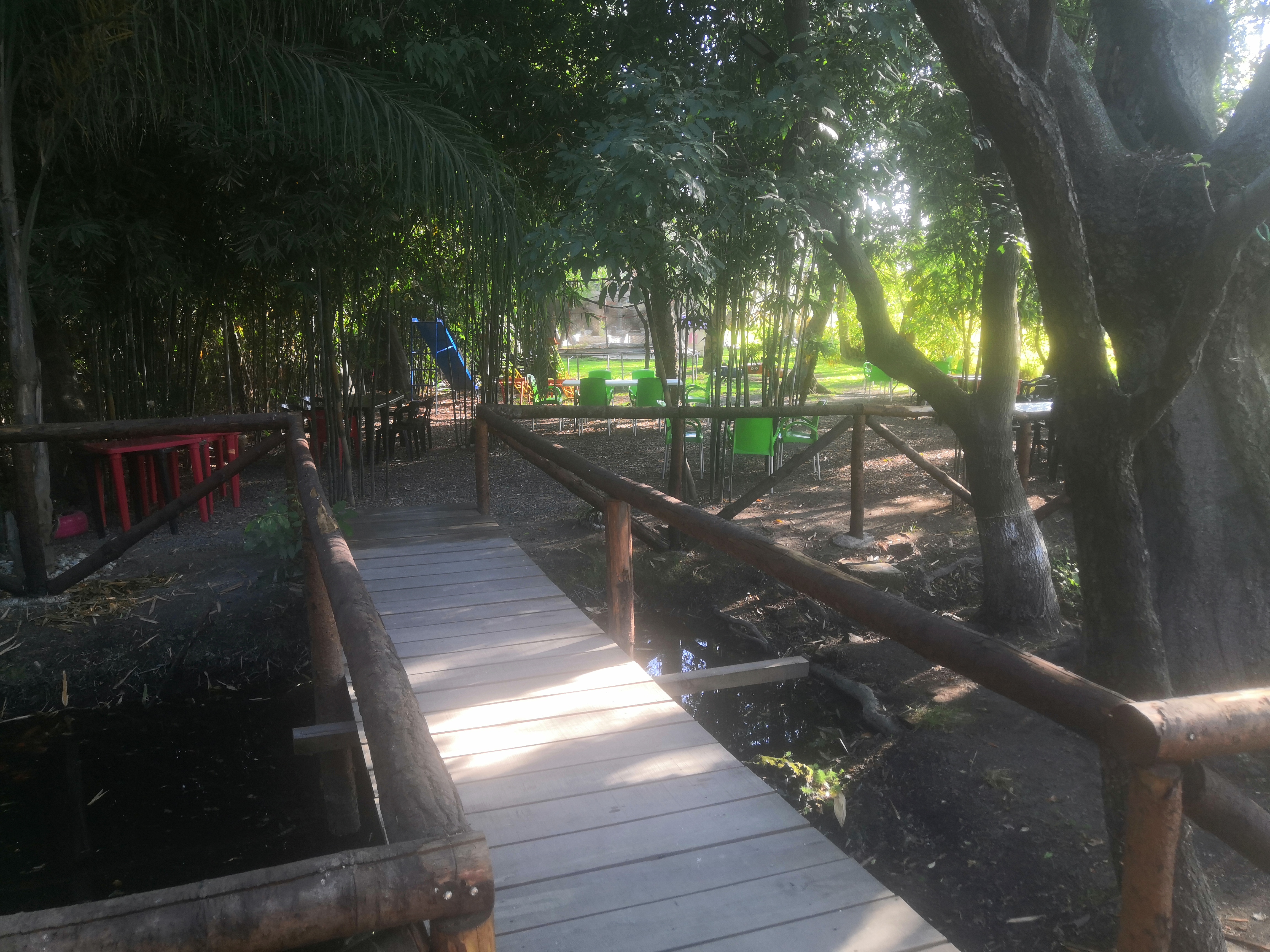 Mixiotes el Gallo '' Campestre'' image 10