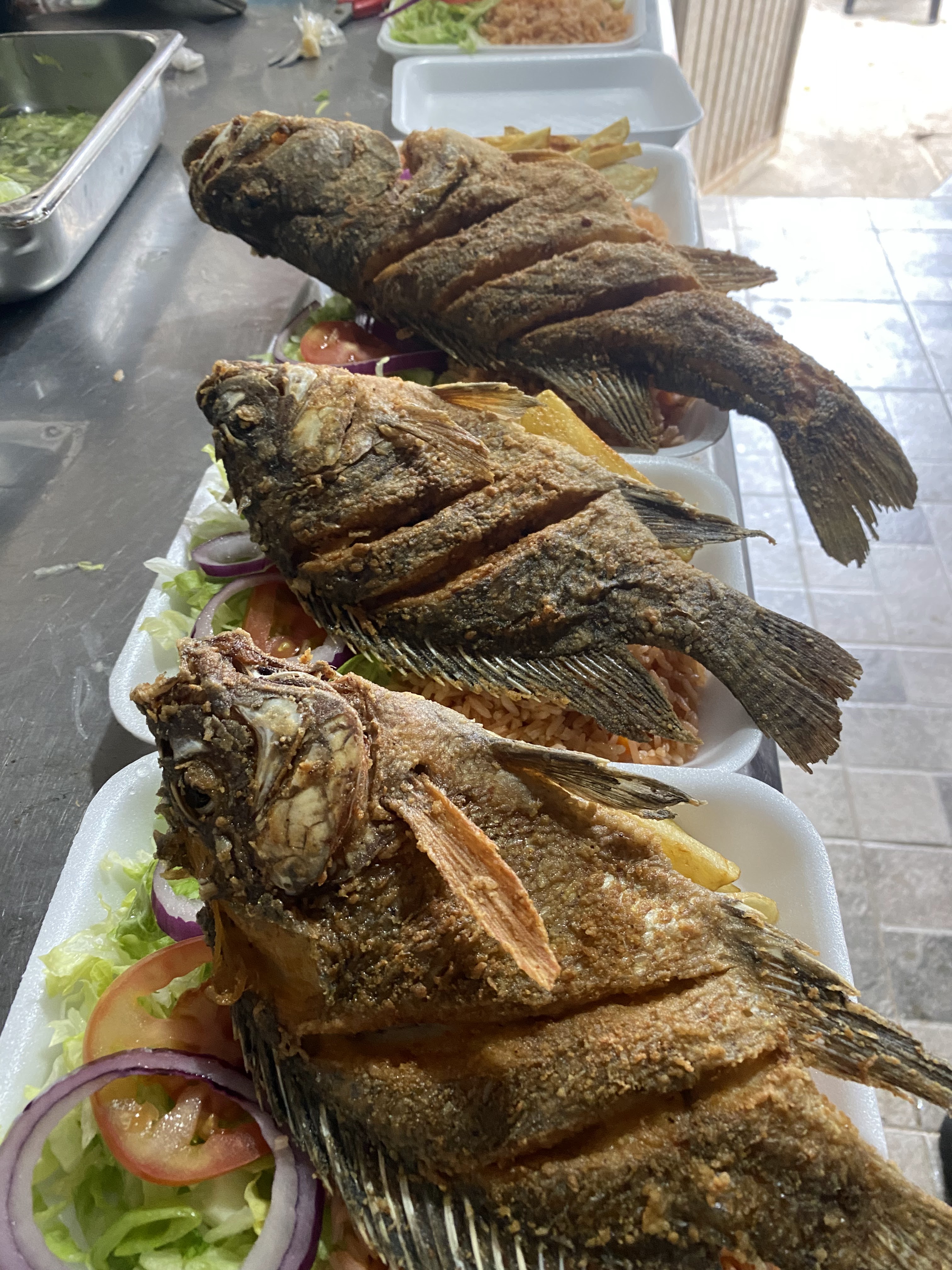 El 7 Mares Estación Manuel image 4