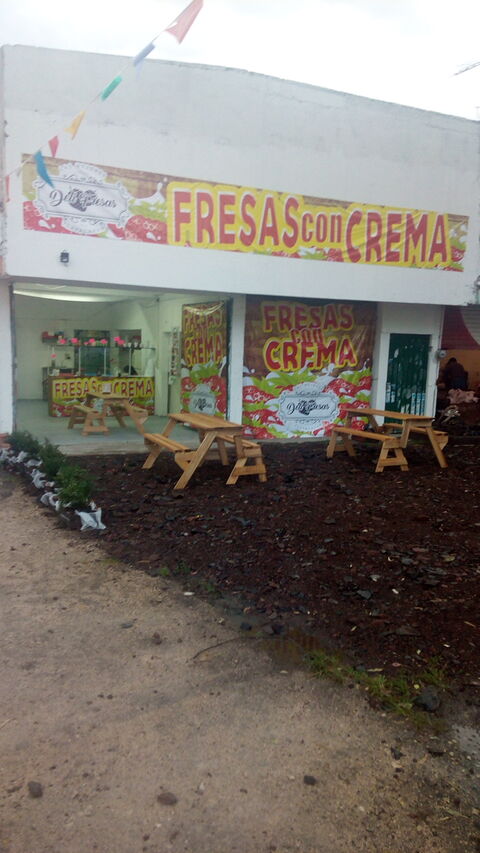 Delifresas Yecapixtla image 1