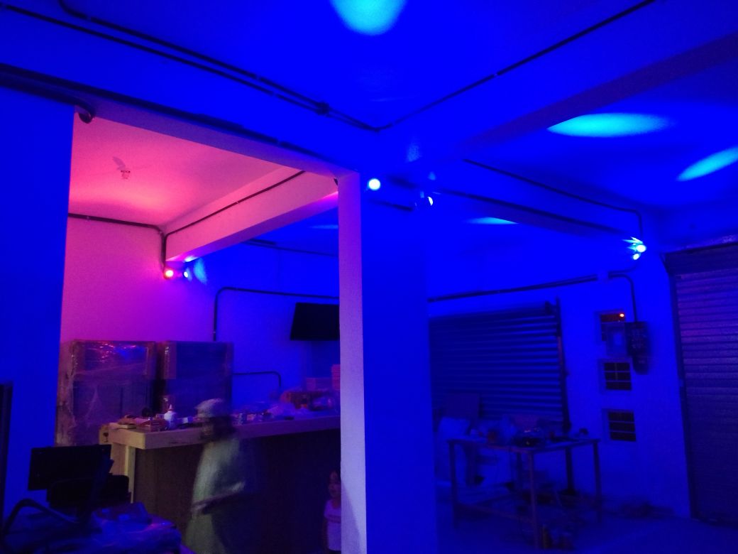 Burger Beer Kartodromo image 6