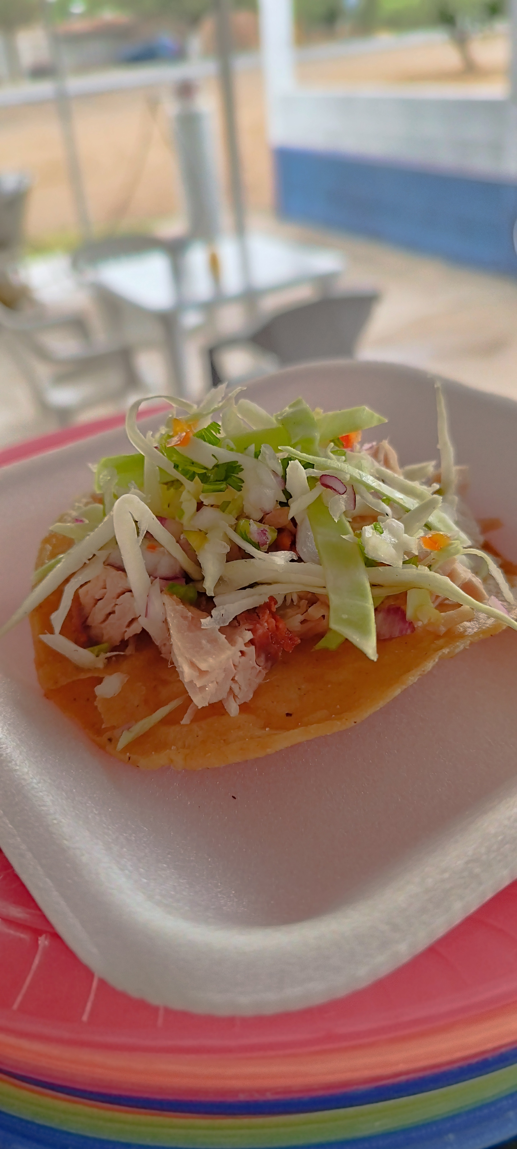 Carnitas ALONSO image 4