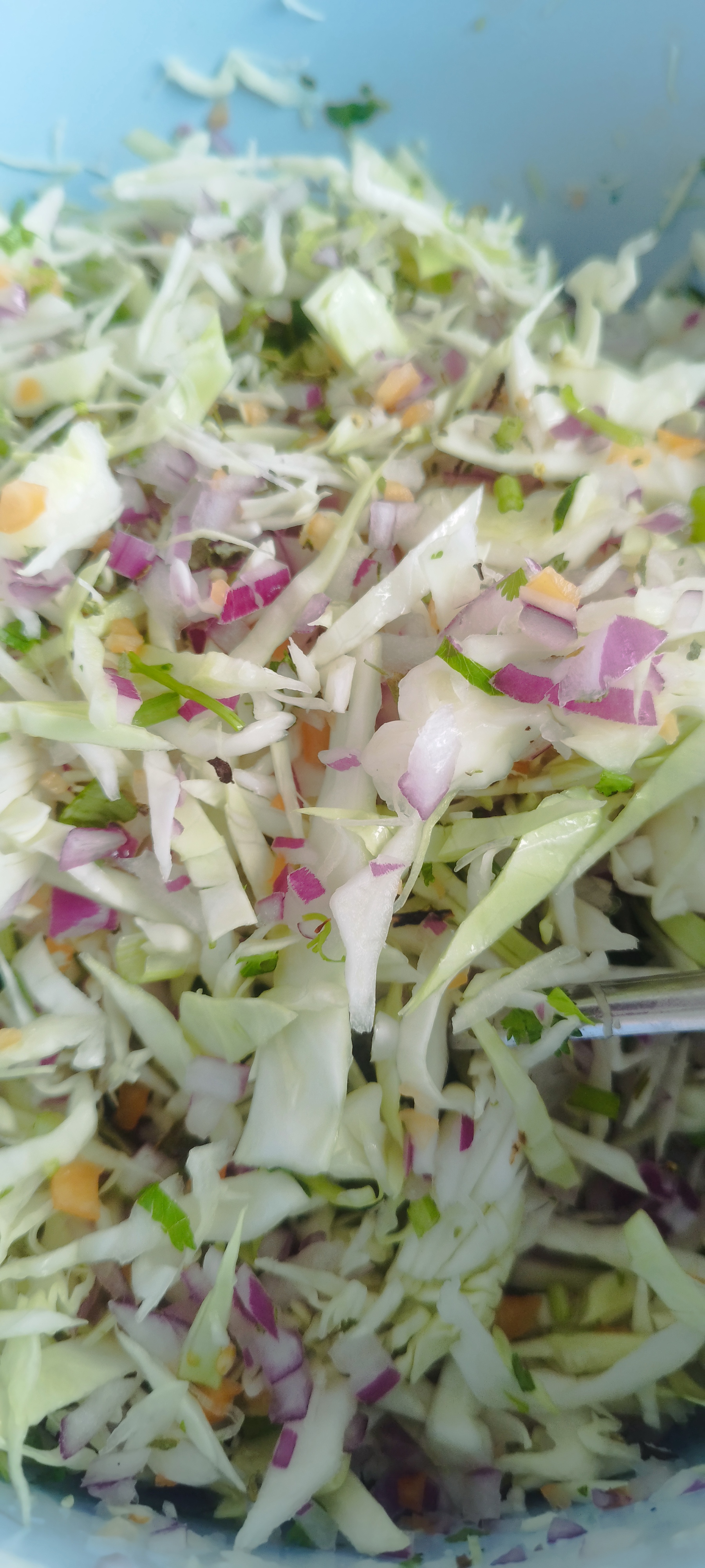 Carnitas ALONSO image 5