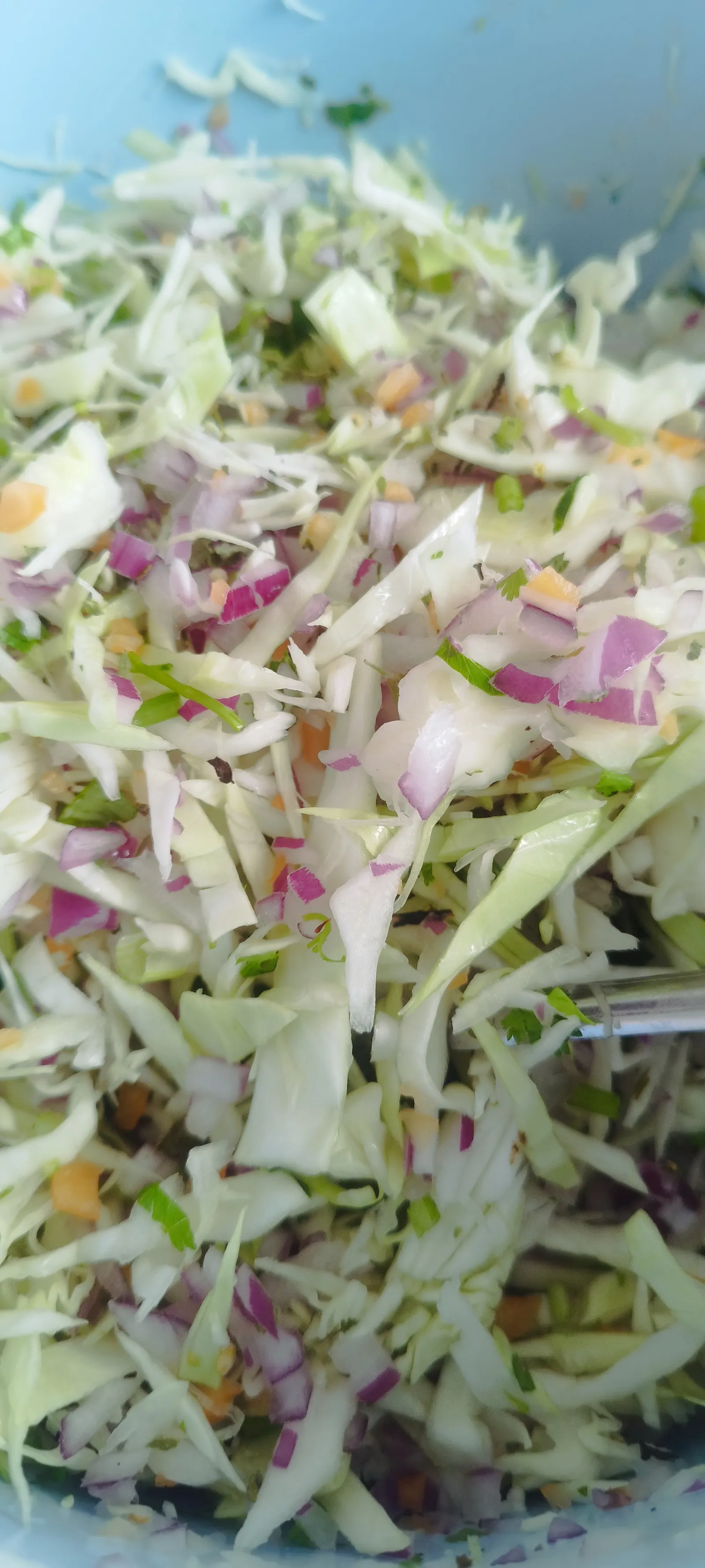 Carnitas ALONSO image 5