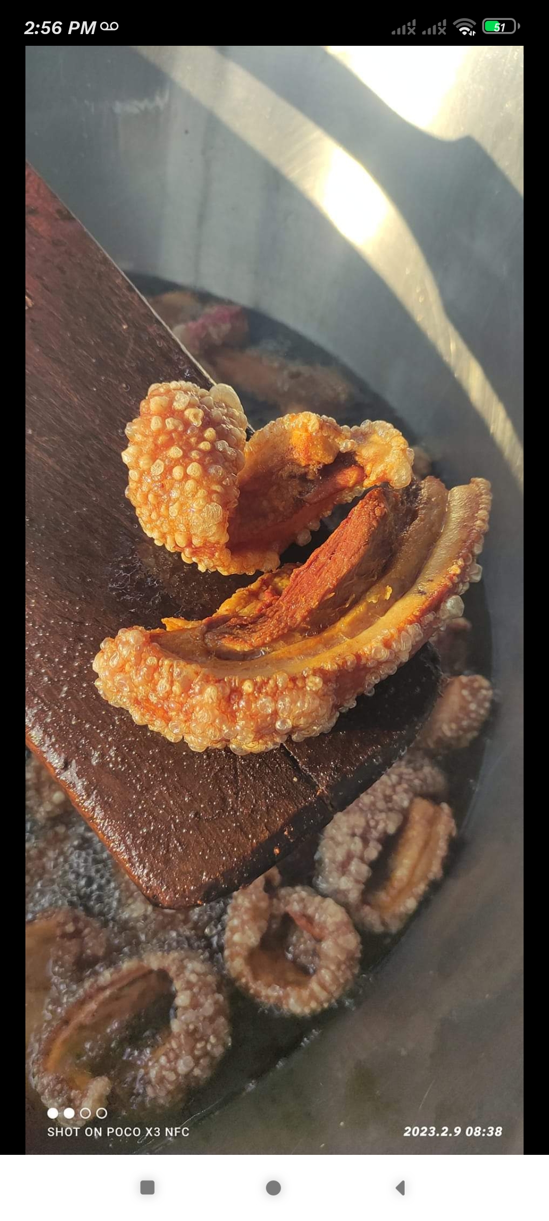 Carnitas ALONSO image 8