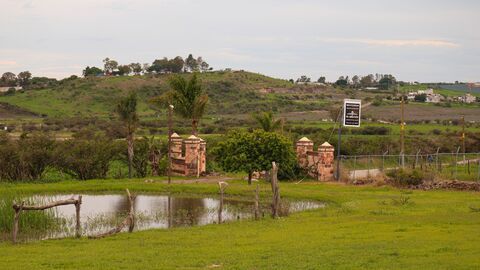 El Arrayán image 1