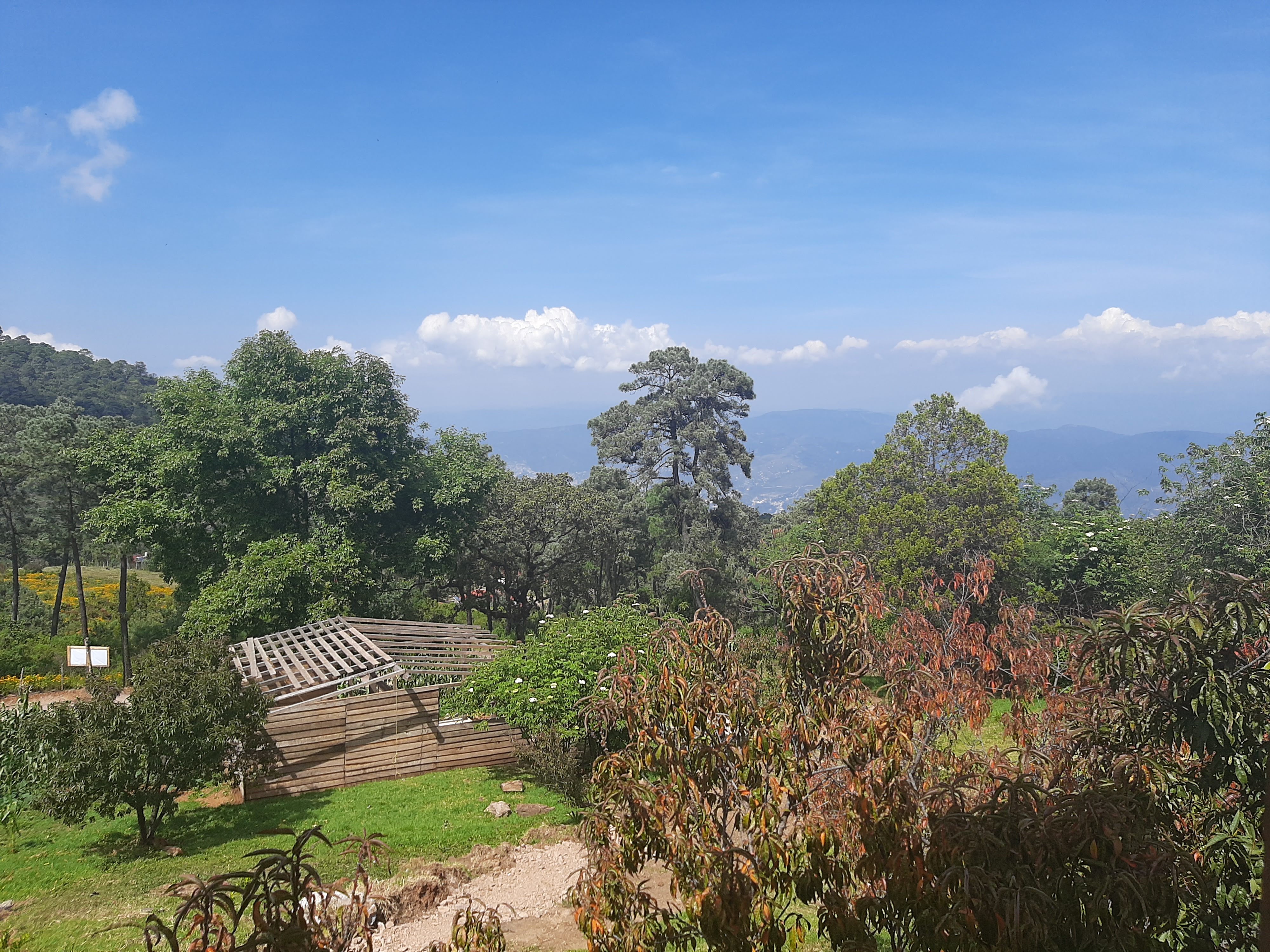 Pozoleria los alcatraces image 3