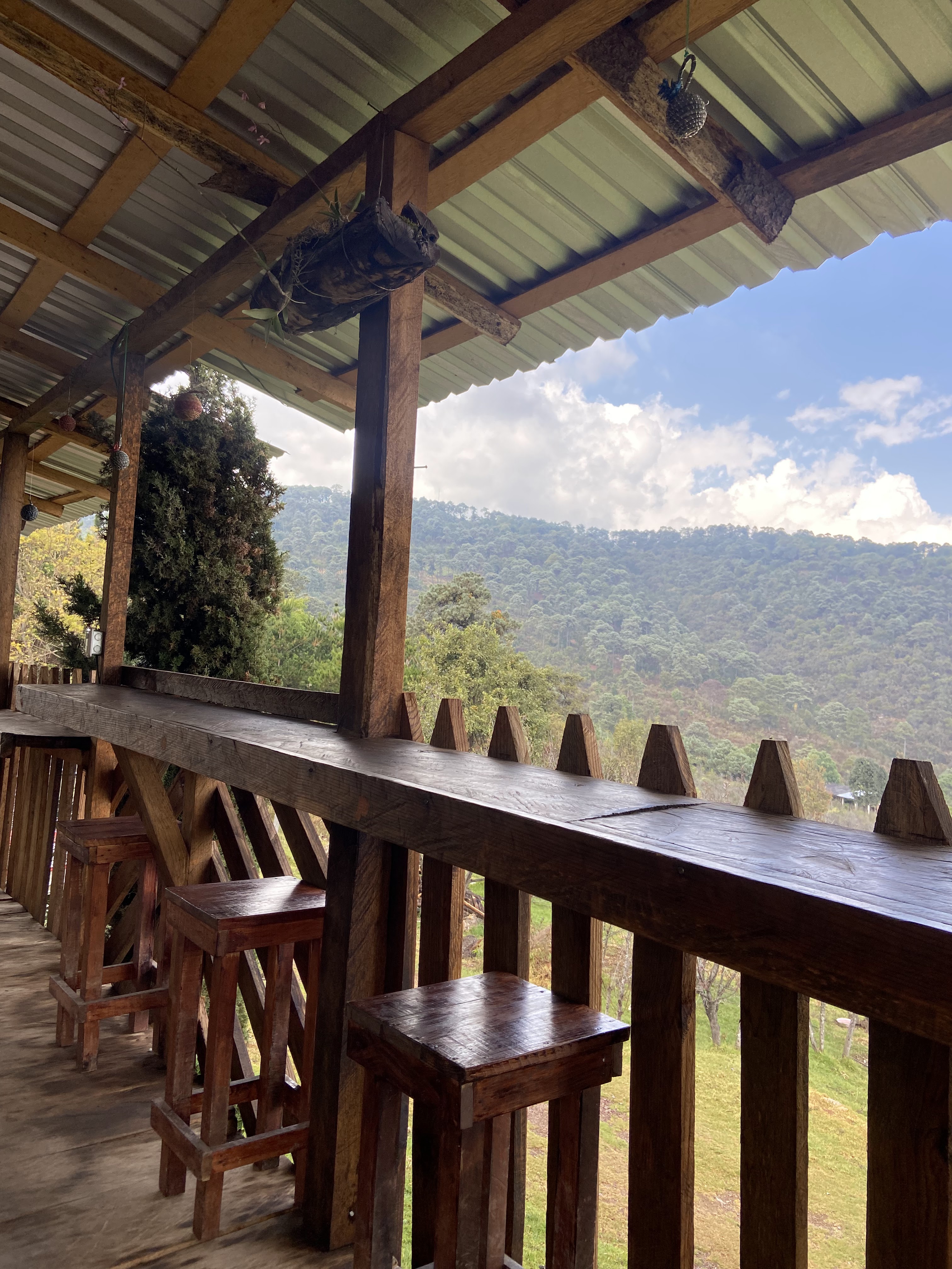 Pozoleria los alcatraces image 4