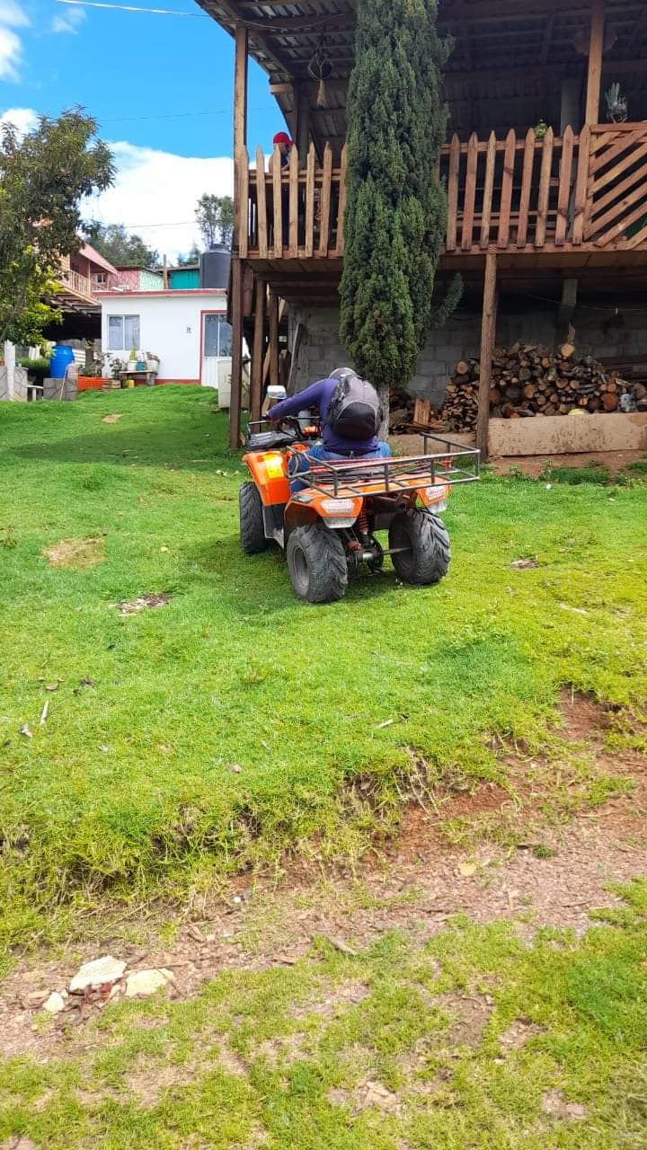 Pozoleria los alcatraces image 5