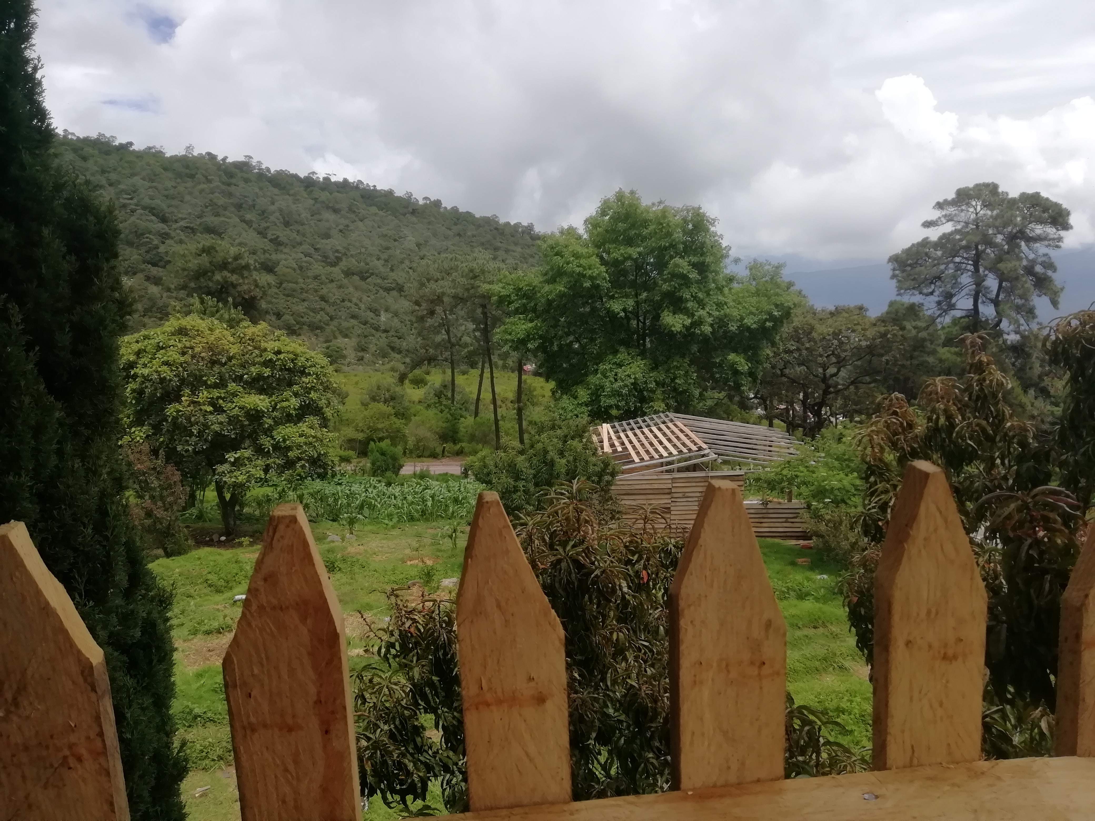 Pozoleria los alcatraces image 8