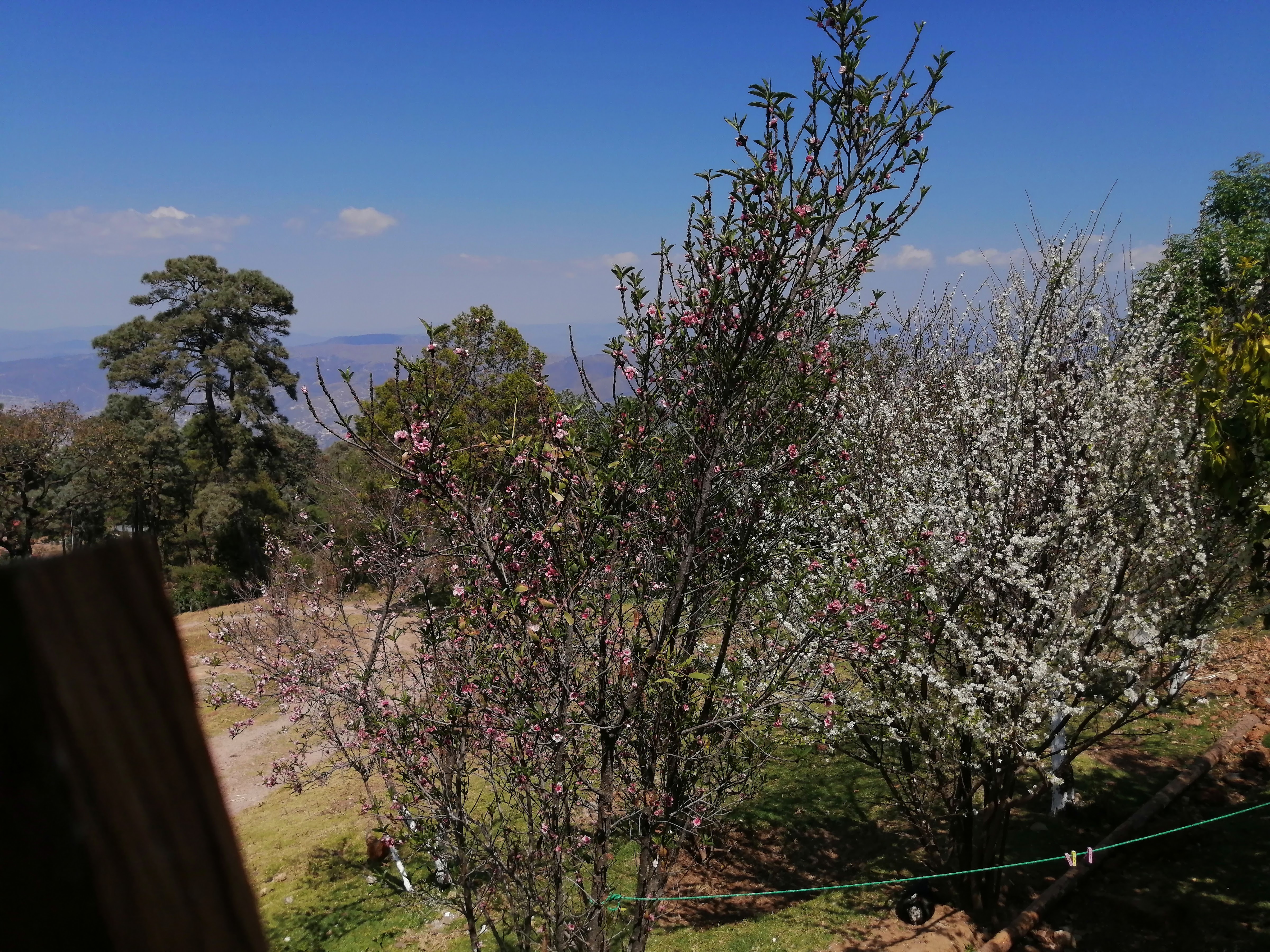 Pozoleria los alcatraces image 9