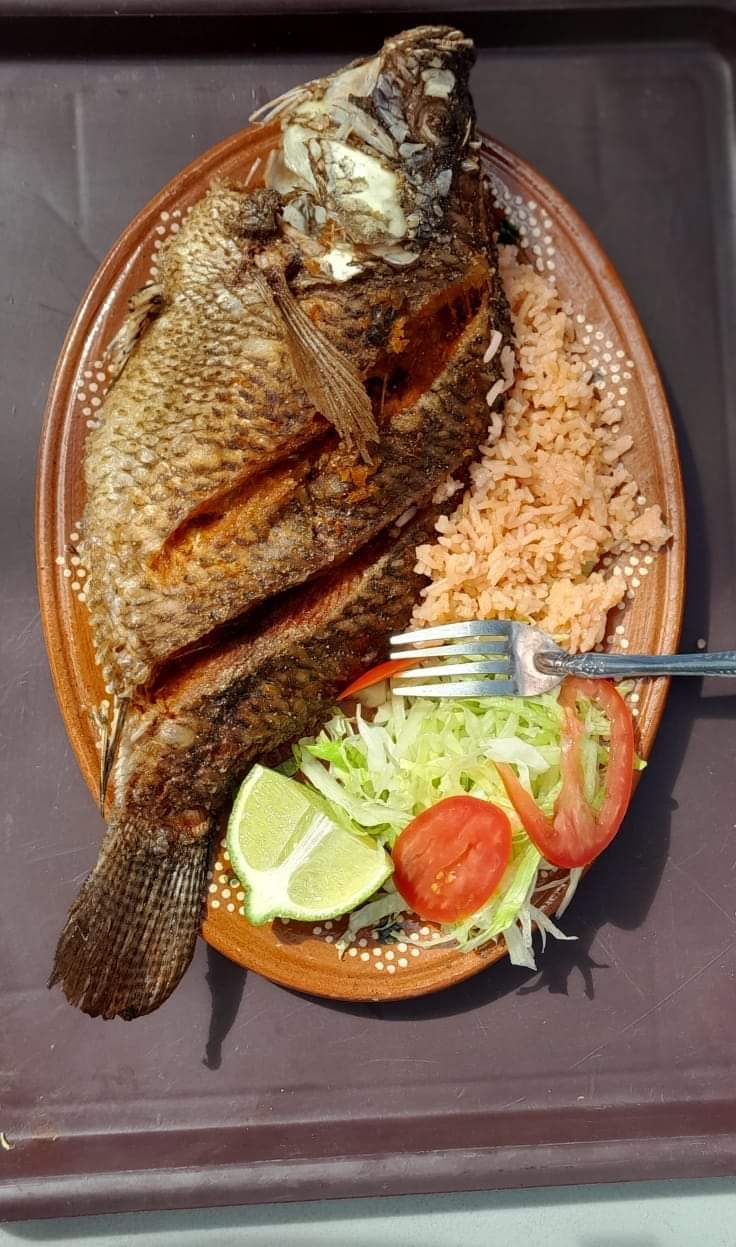 Restaurante T-KIO image 4