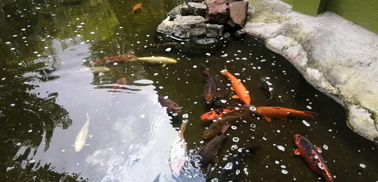 The Good Burguer image 4