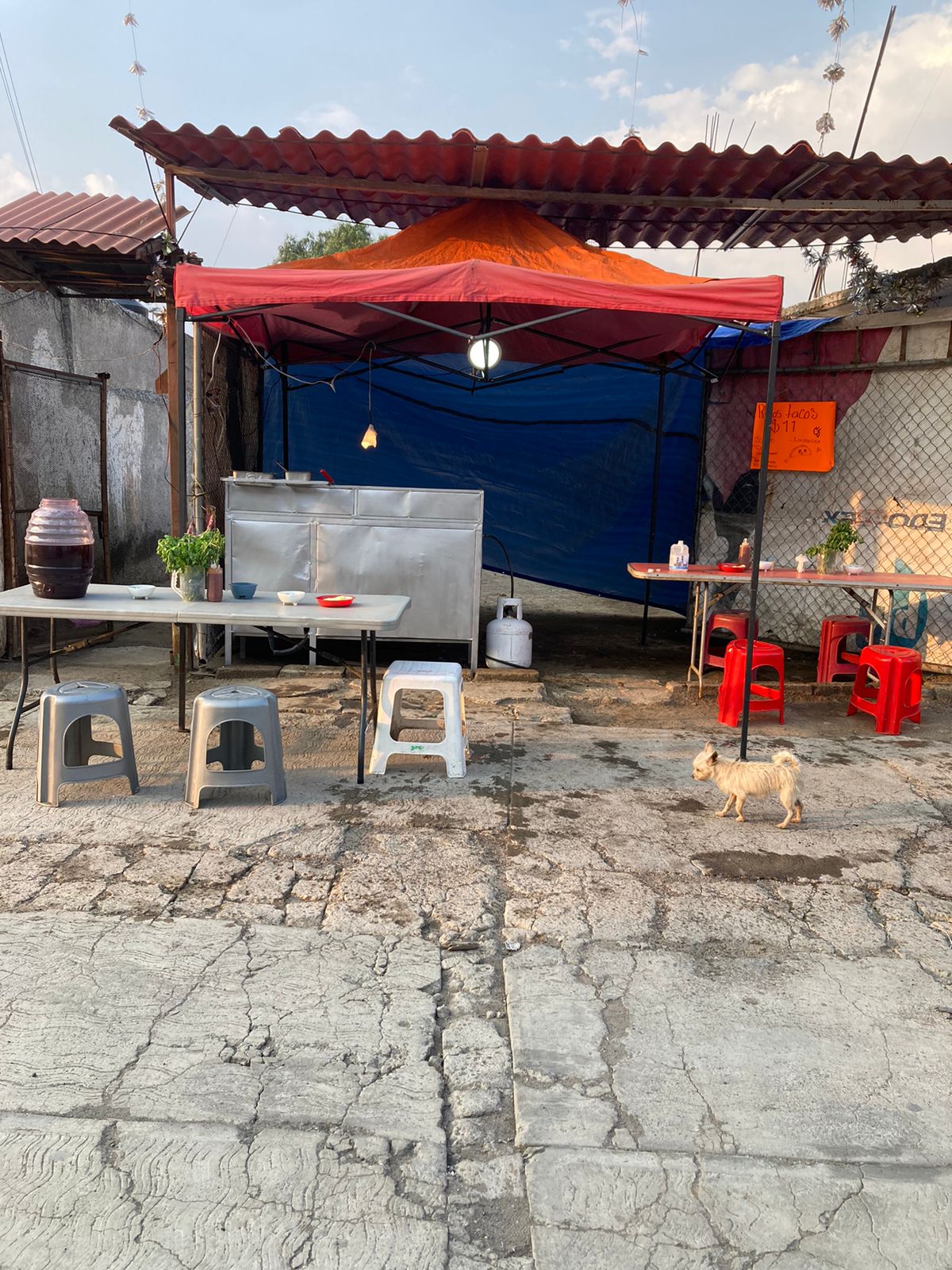 Tacos El paisa image 1