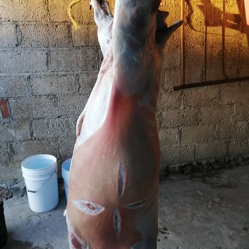 BARBACOA GRANADOS MENESES image 4