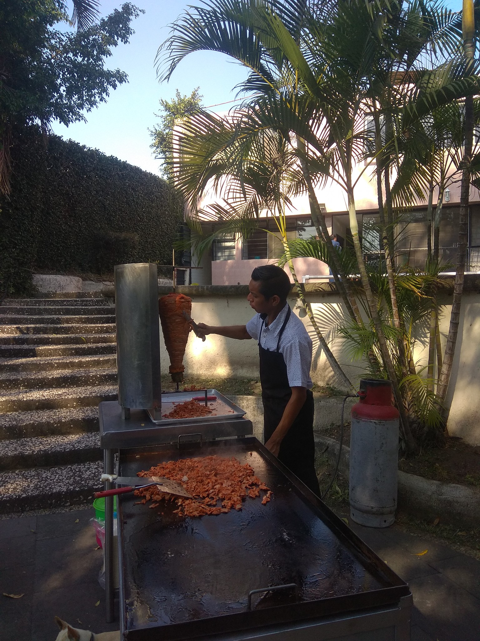 Taqueria restaurante pastor ll image 4