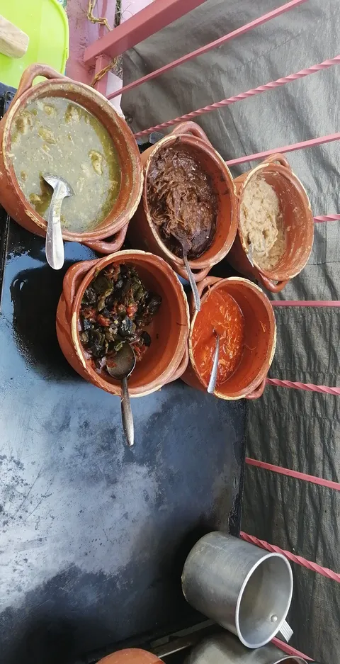 Guisos de zoe image 1